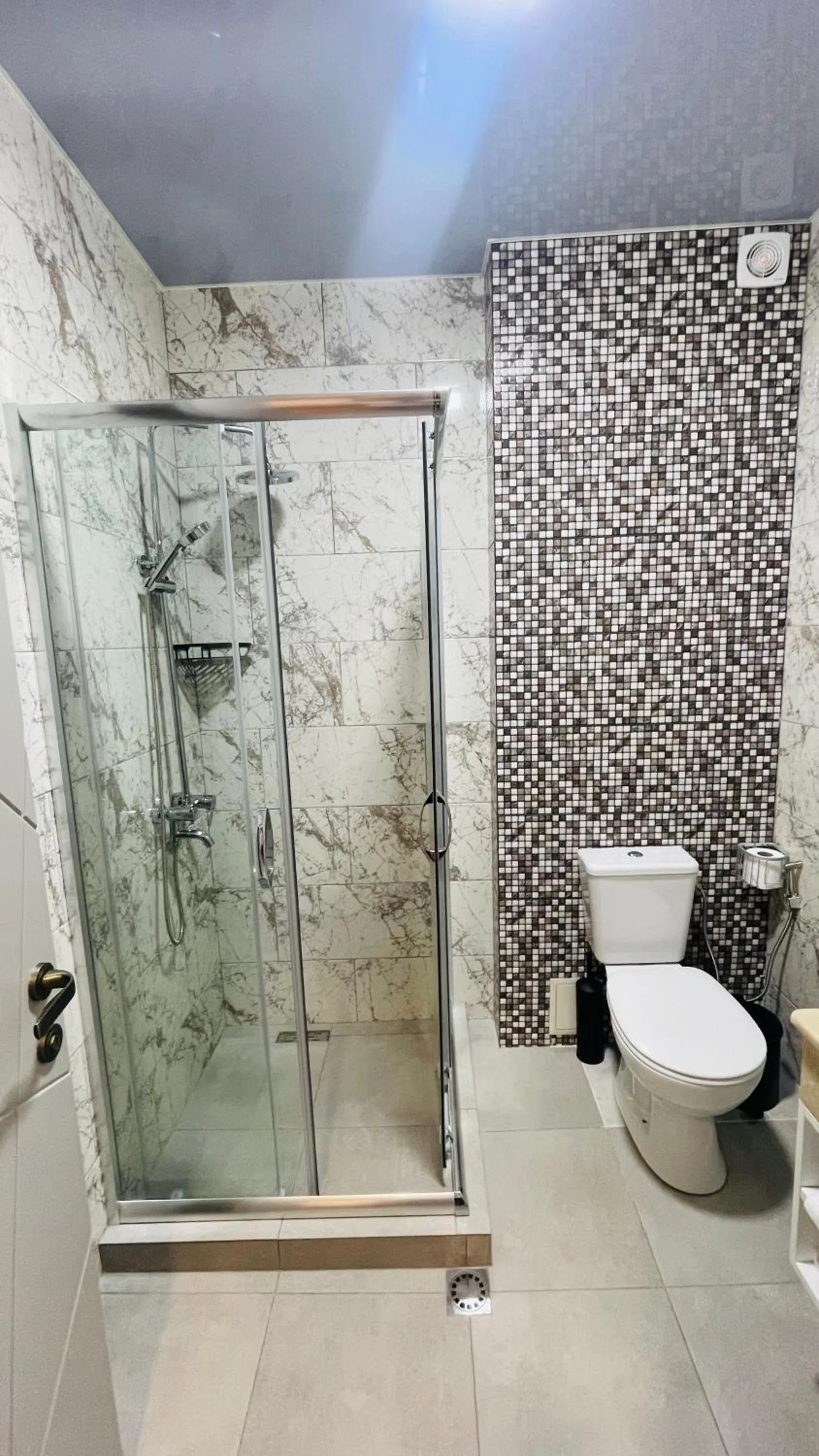 Shower in DADIANI Inn