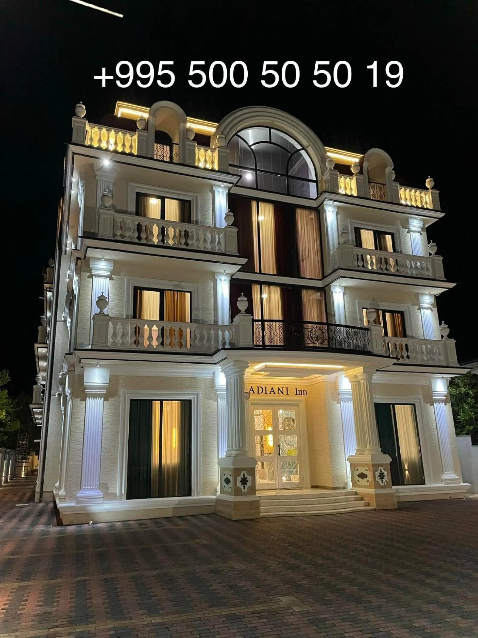 Property building in DADIANI Inn