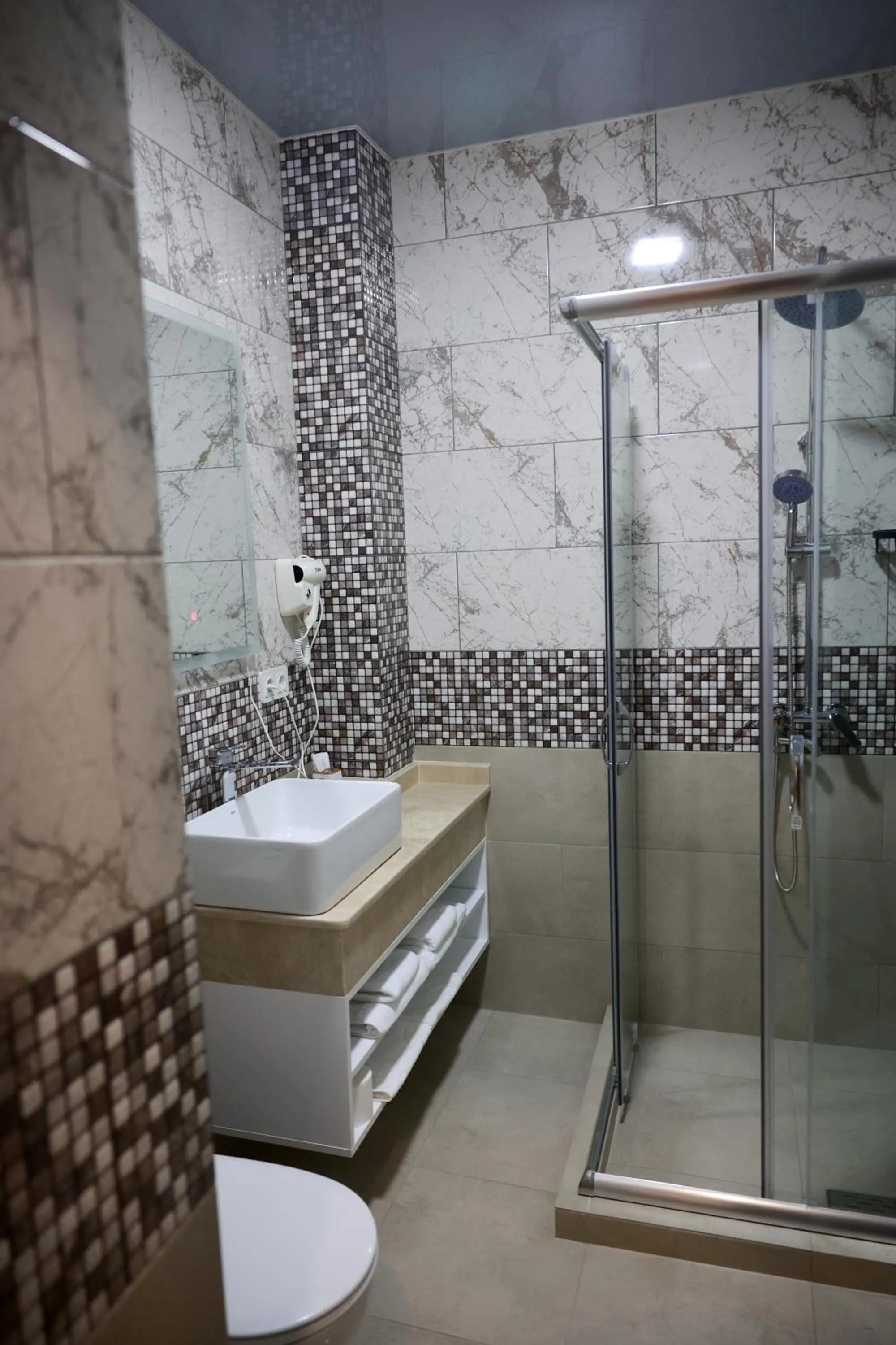 Shower in DADIANI Inn