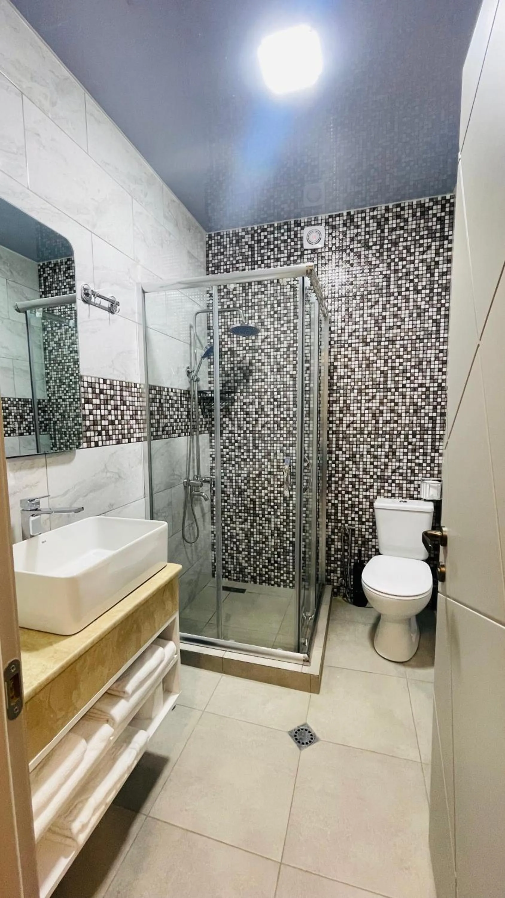 Shower in DADIANI Inn