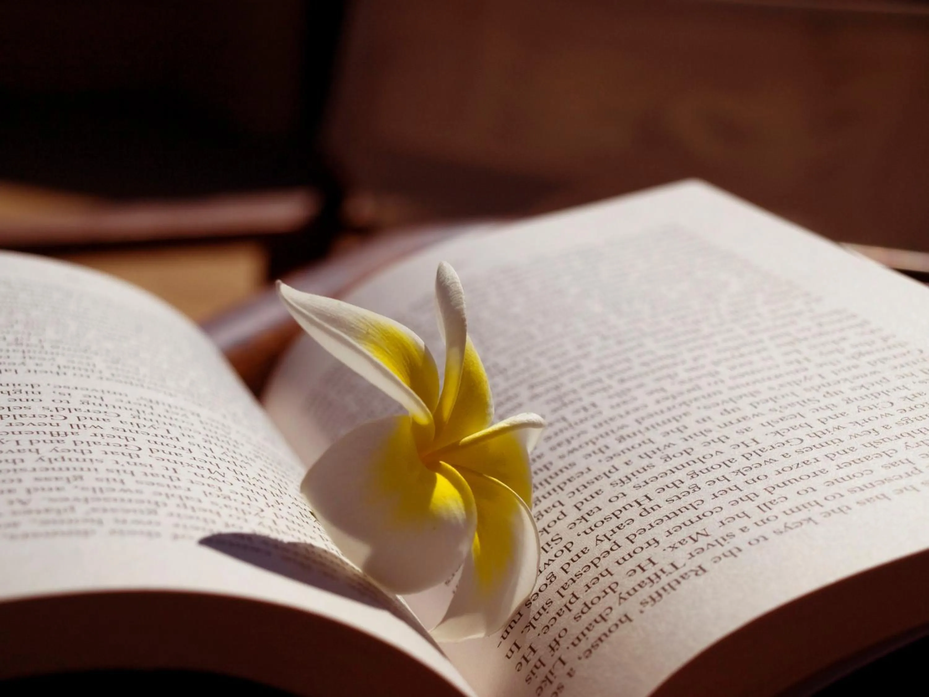 Other in Kissamos Hotel