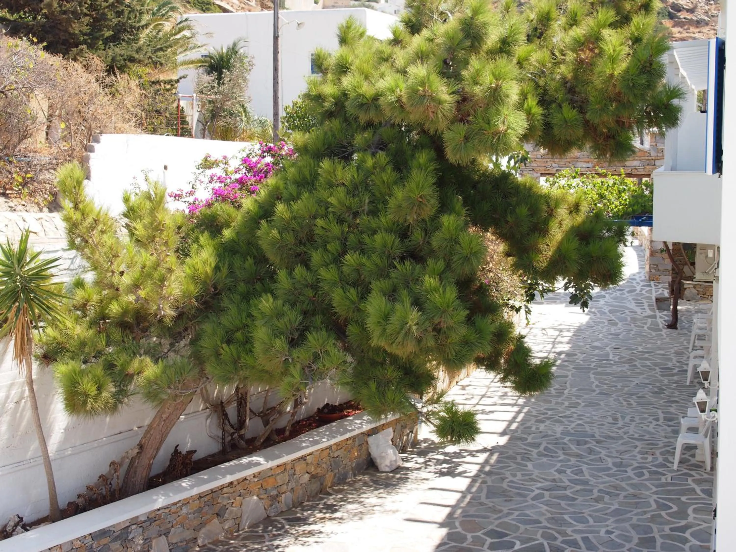 Decorative detail in Homer's Inn Hotel