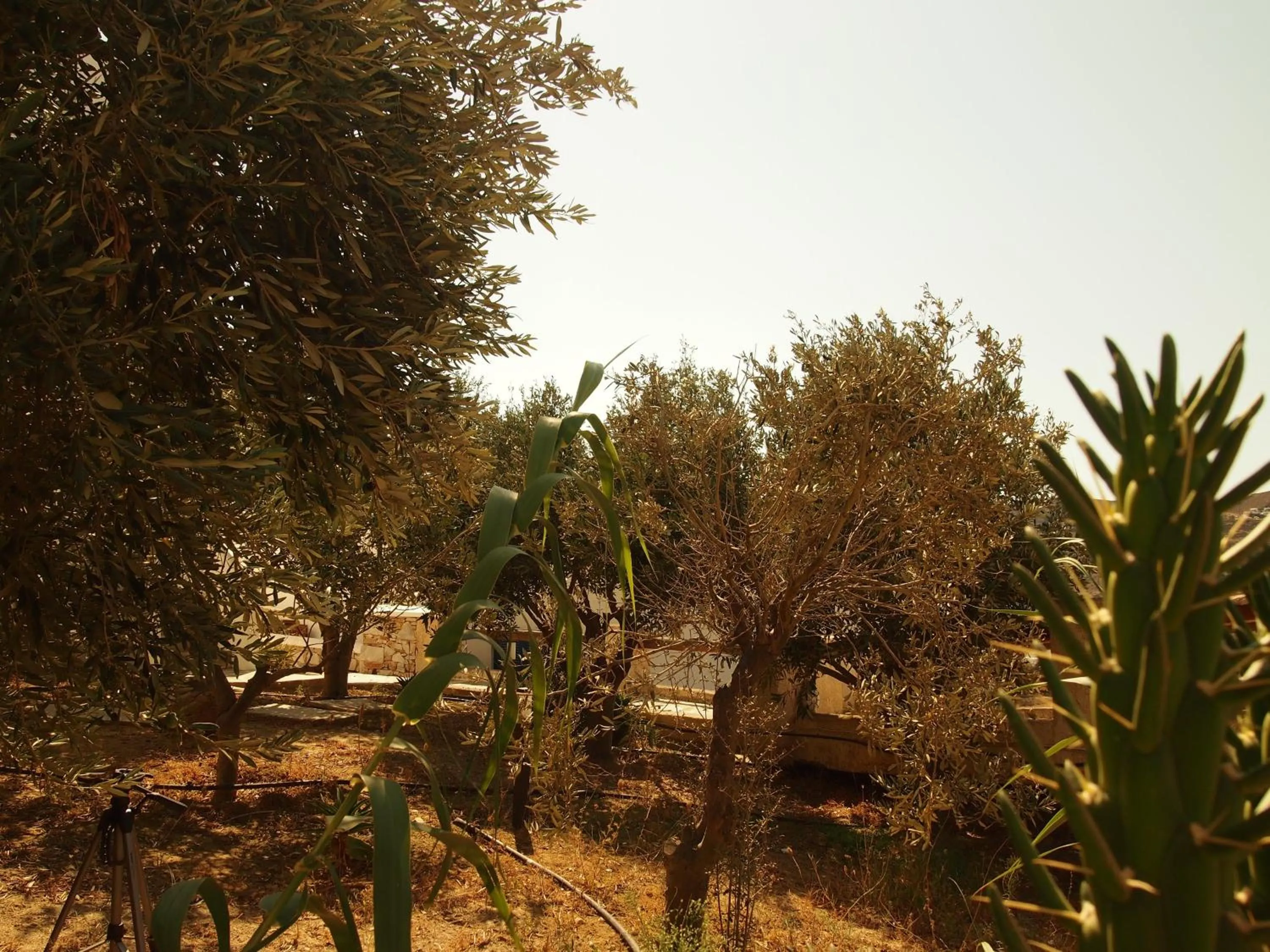 Facade/entrance in Homer's Inn Hotel
