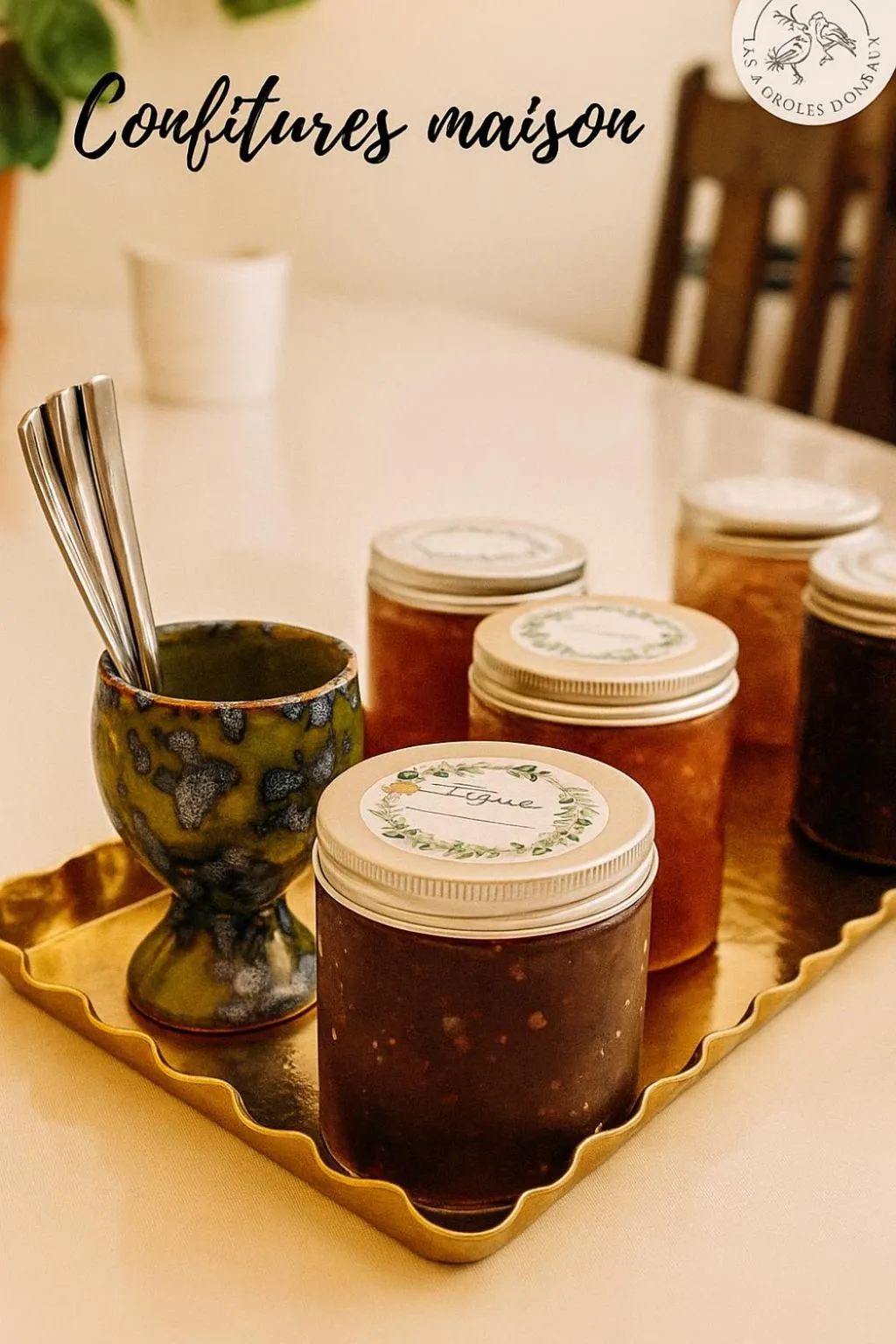 Les 2 Drôles d'Oiseaux