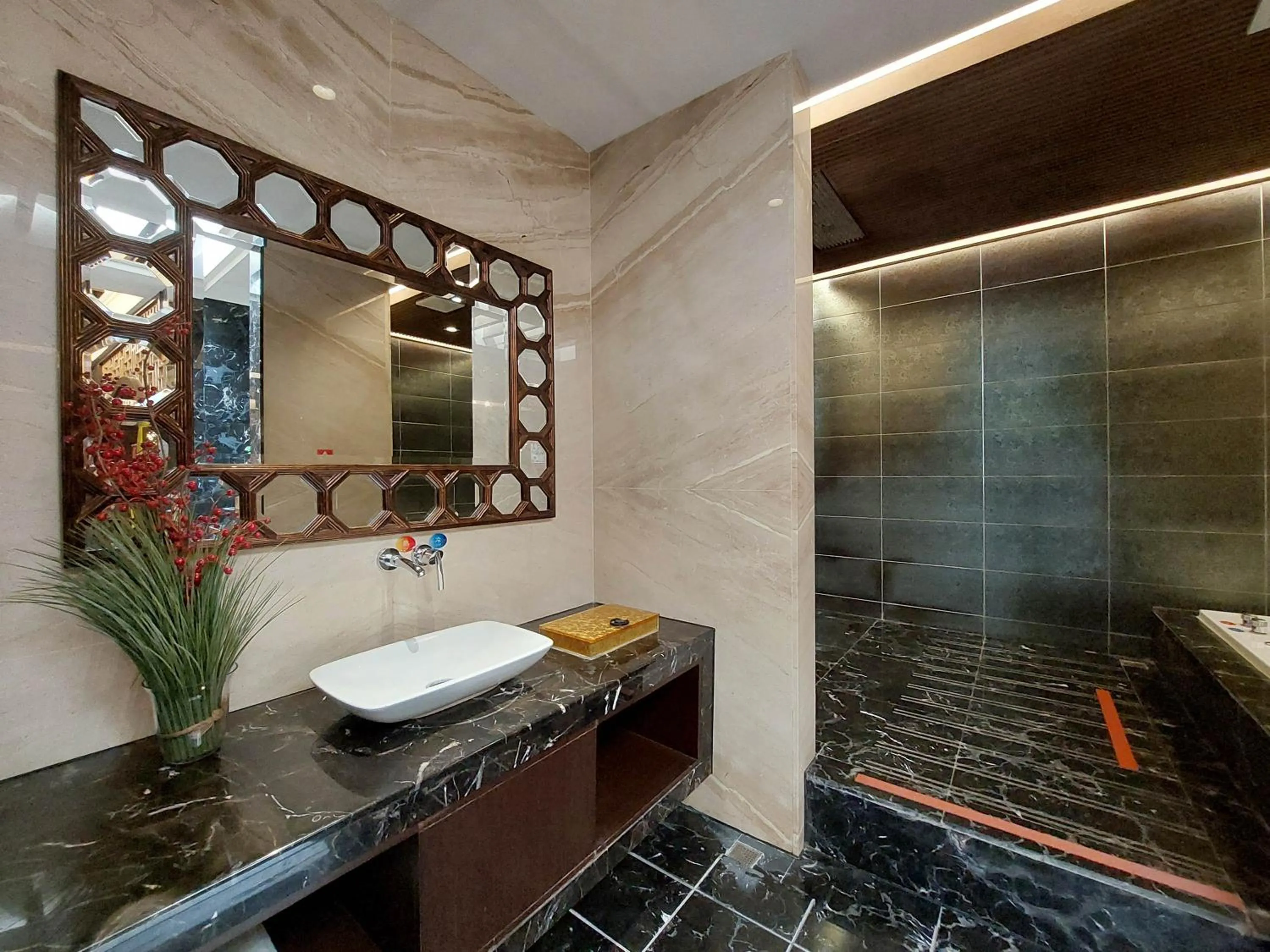 Shower in Elysees Motel