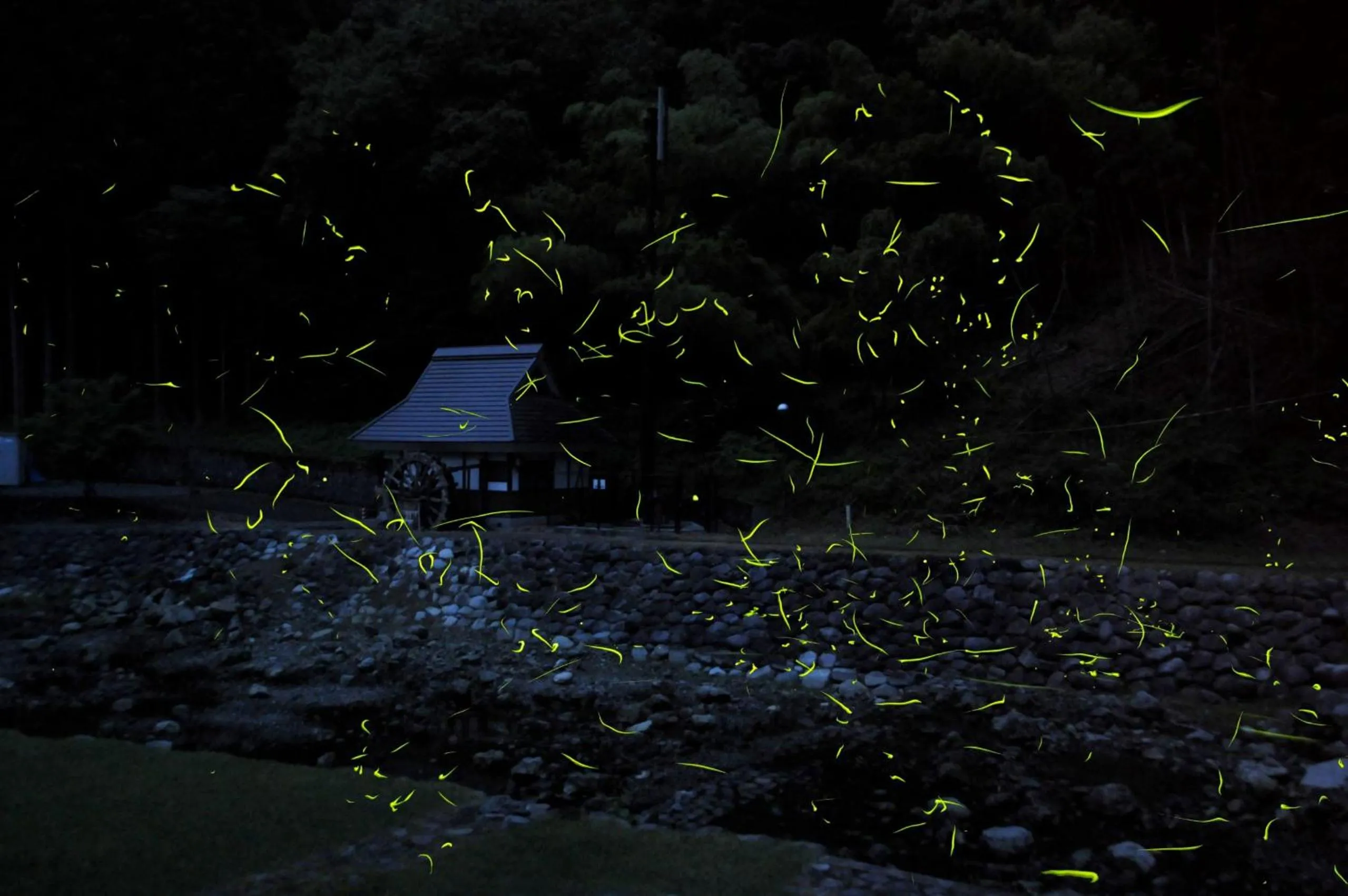 Off site in Satoyama Hotel Kanenone Tamba