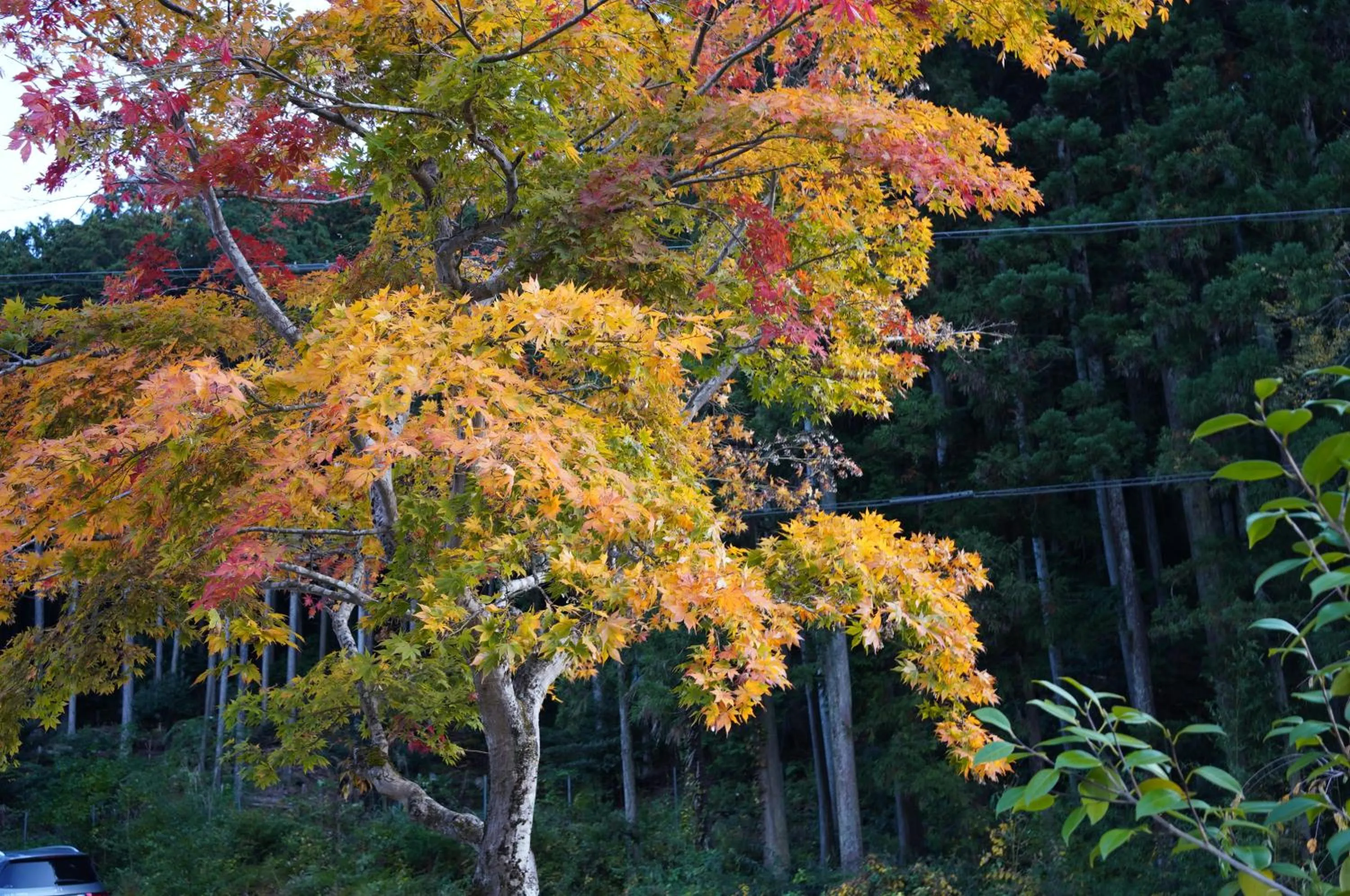 Off site in Satoyama Hotel Kanenone Tamba