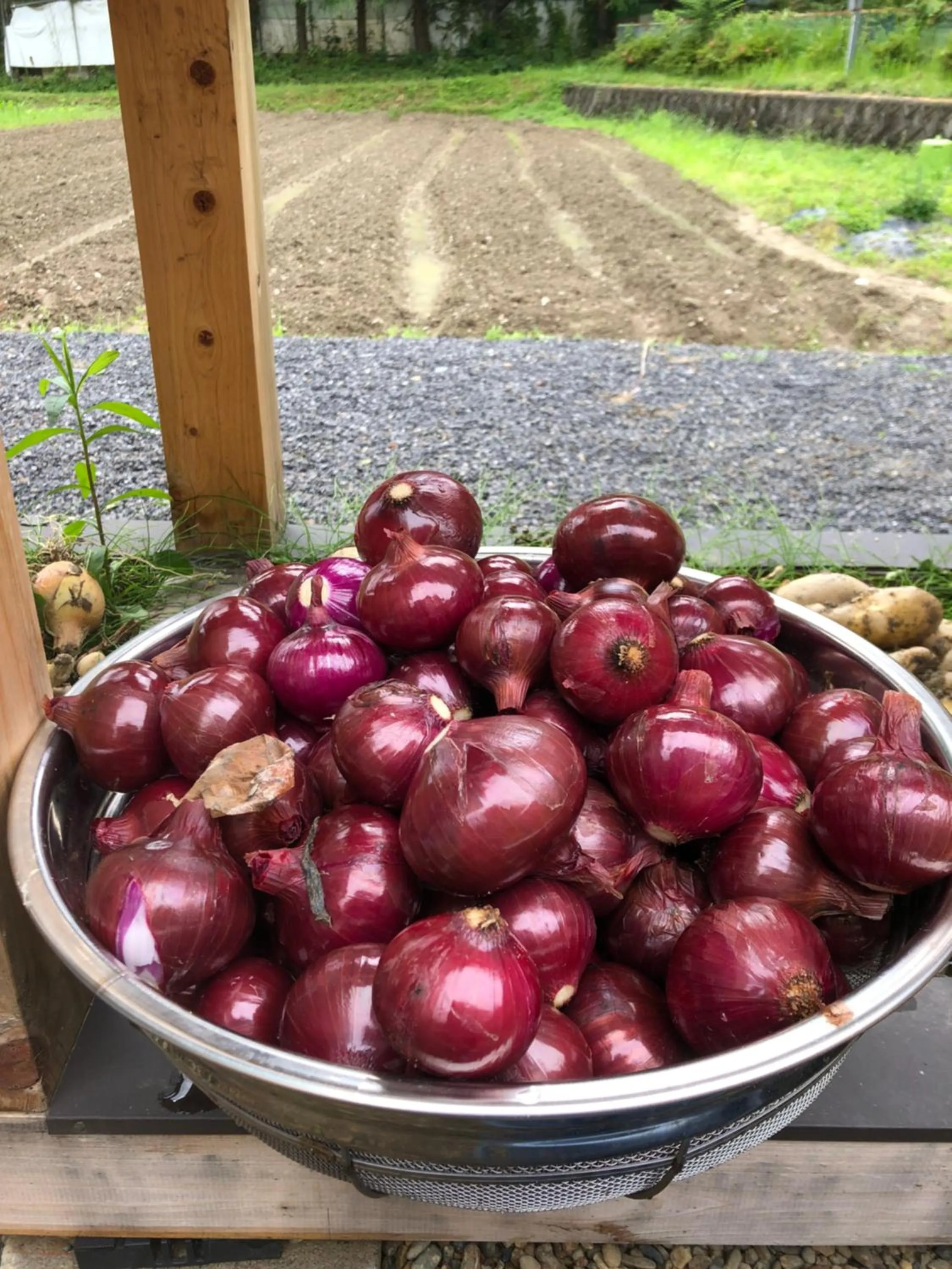 Off site in Satoyama Hotel Kanenone Tamba