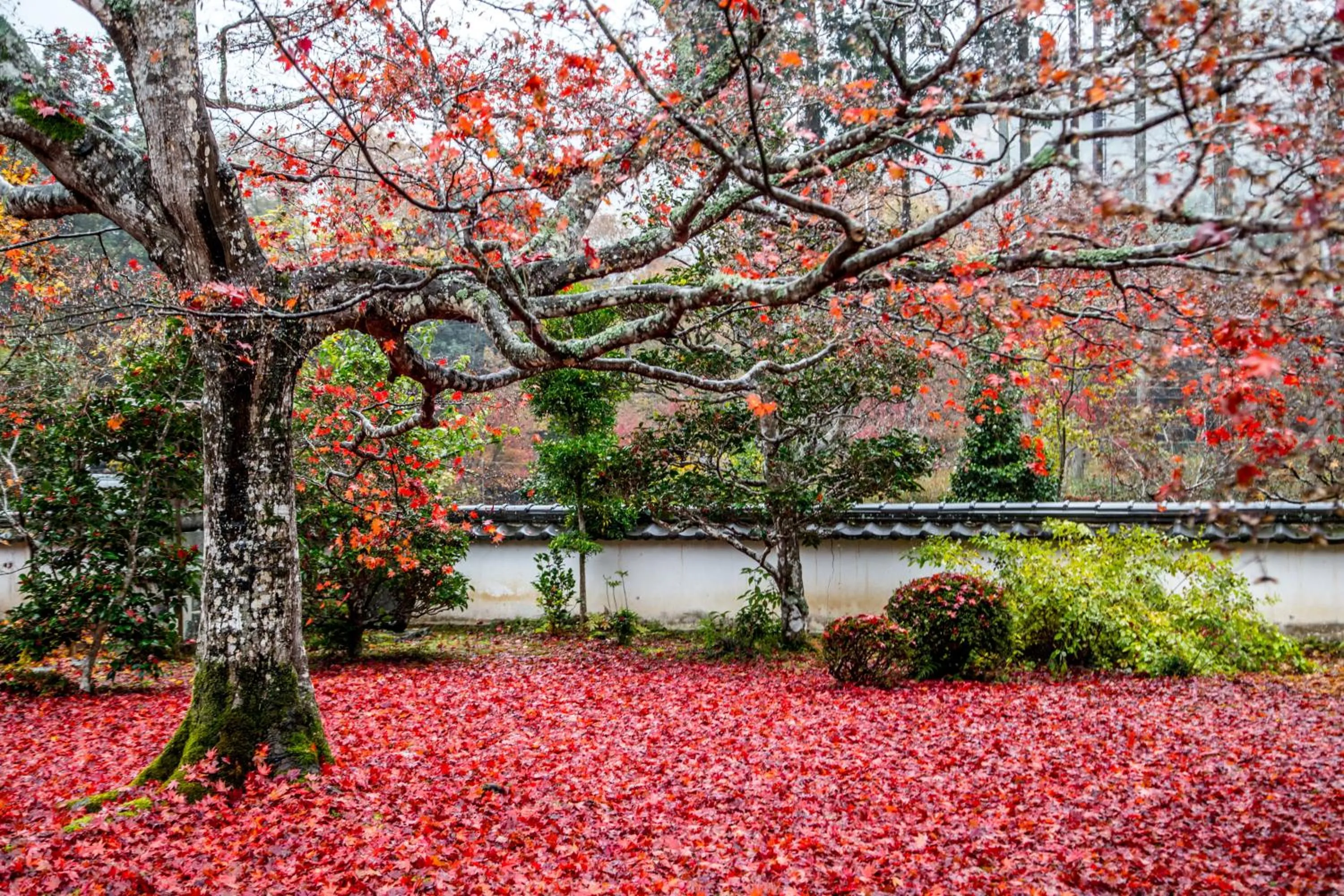 Nearby landmark in Satoyama Hotel Kanenone Tamba