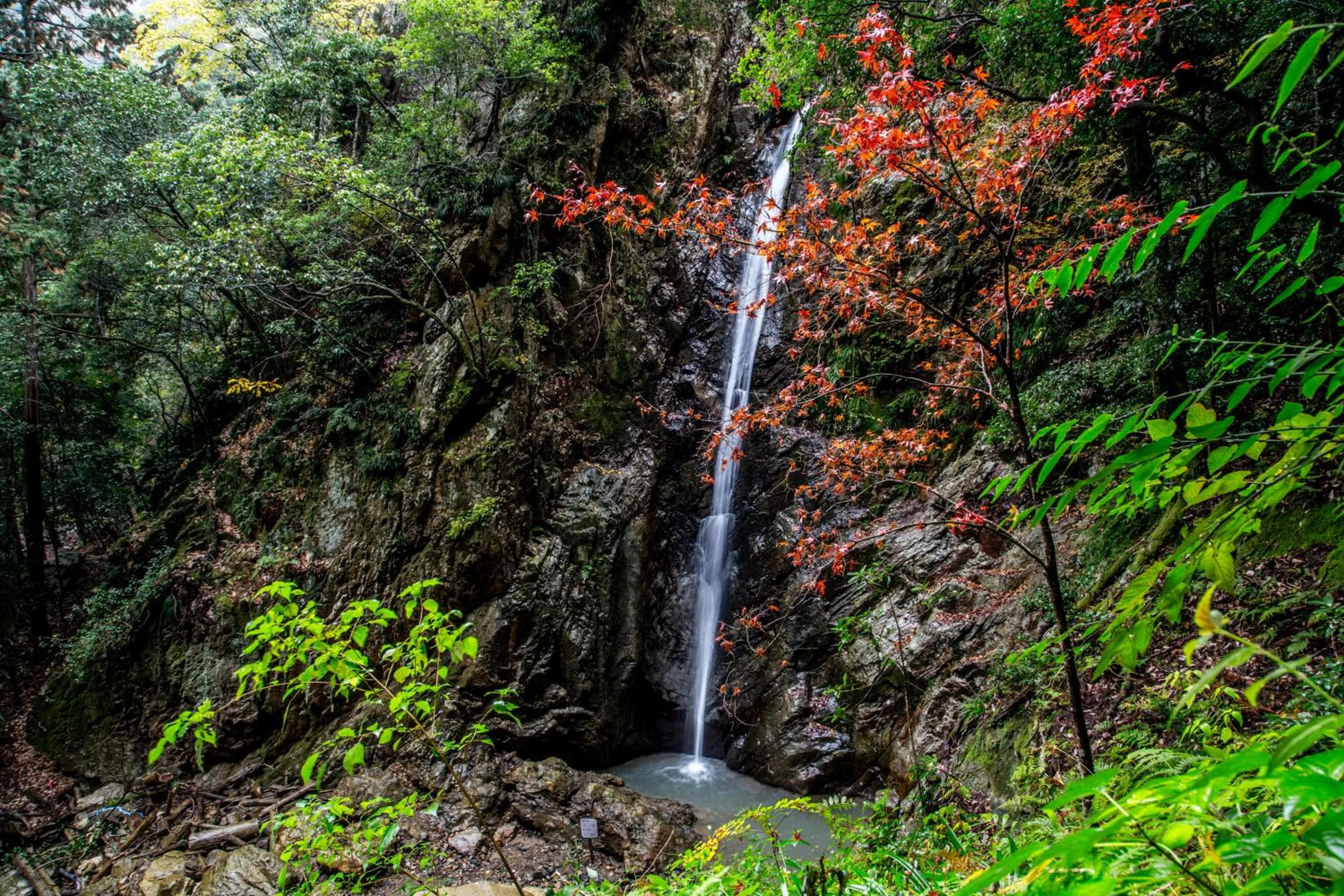 Nearby landmark in Satoyama Hotel Kanenone Tamba