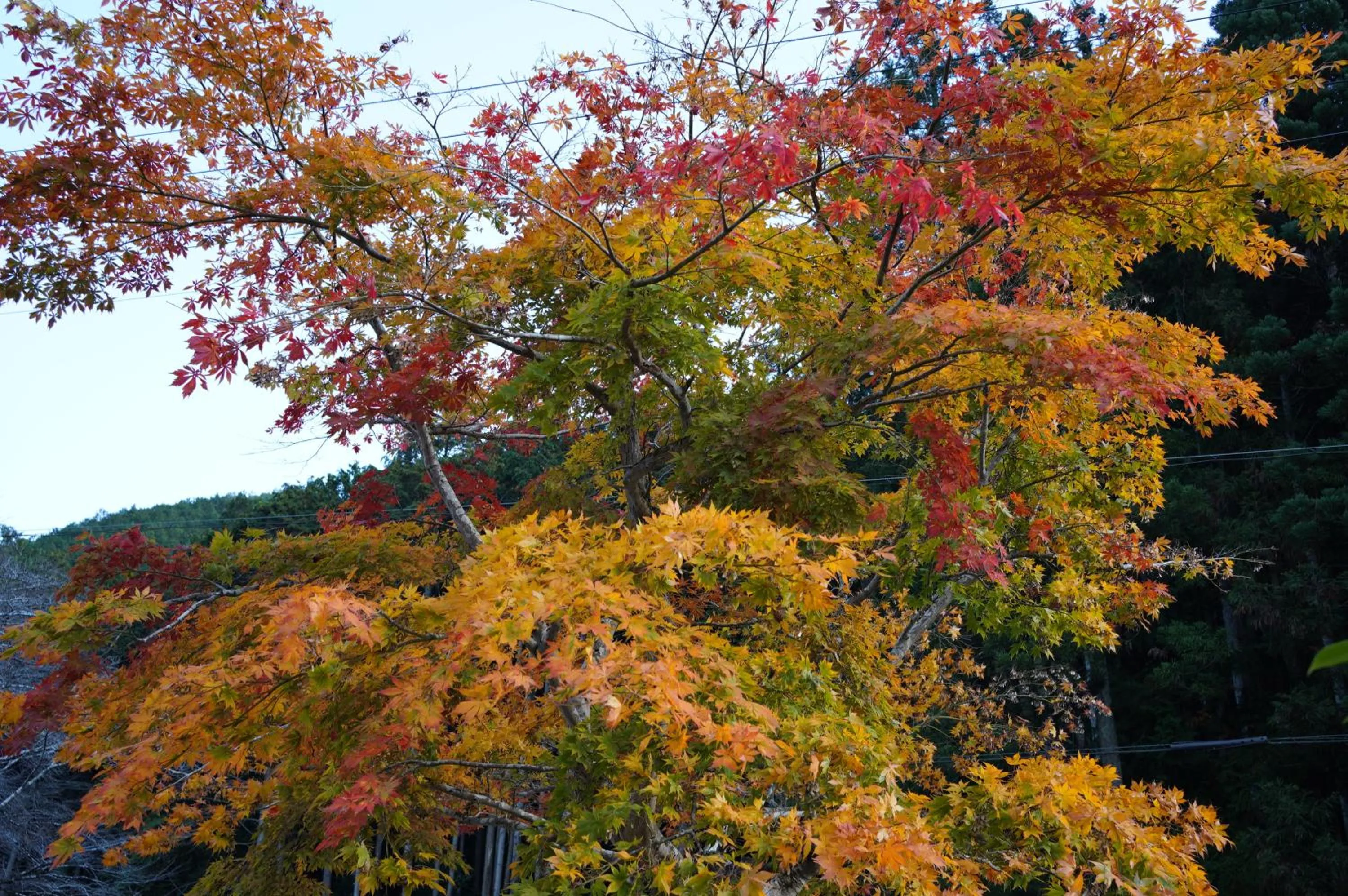 Off site in Satoyama Hotel Kanenone Tamba