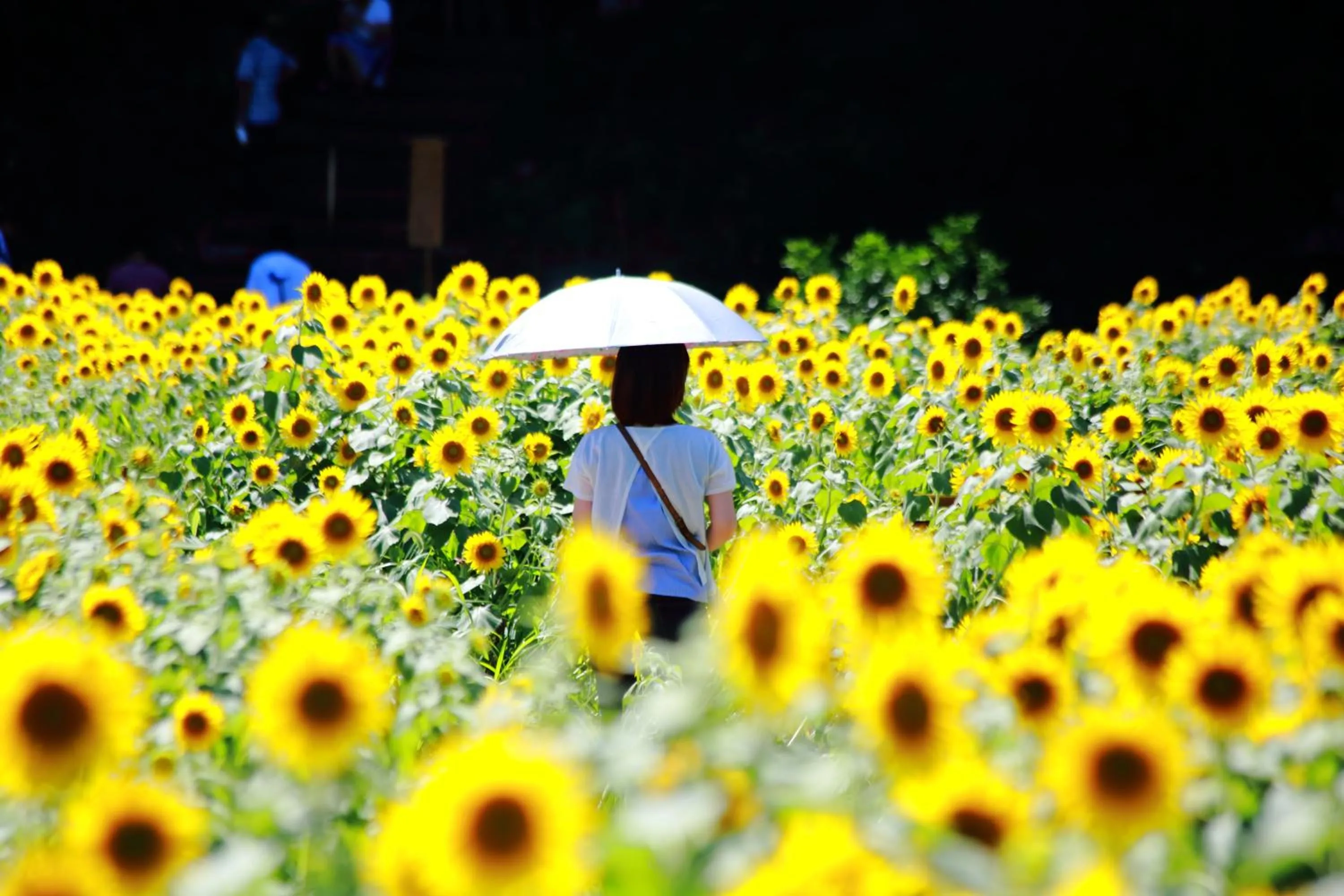 Off site in Satoyama Hotel Kanenone Tamba