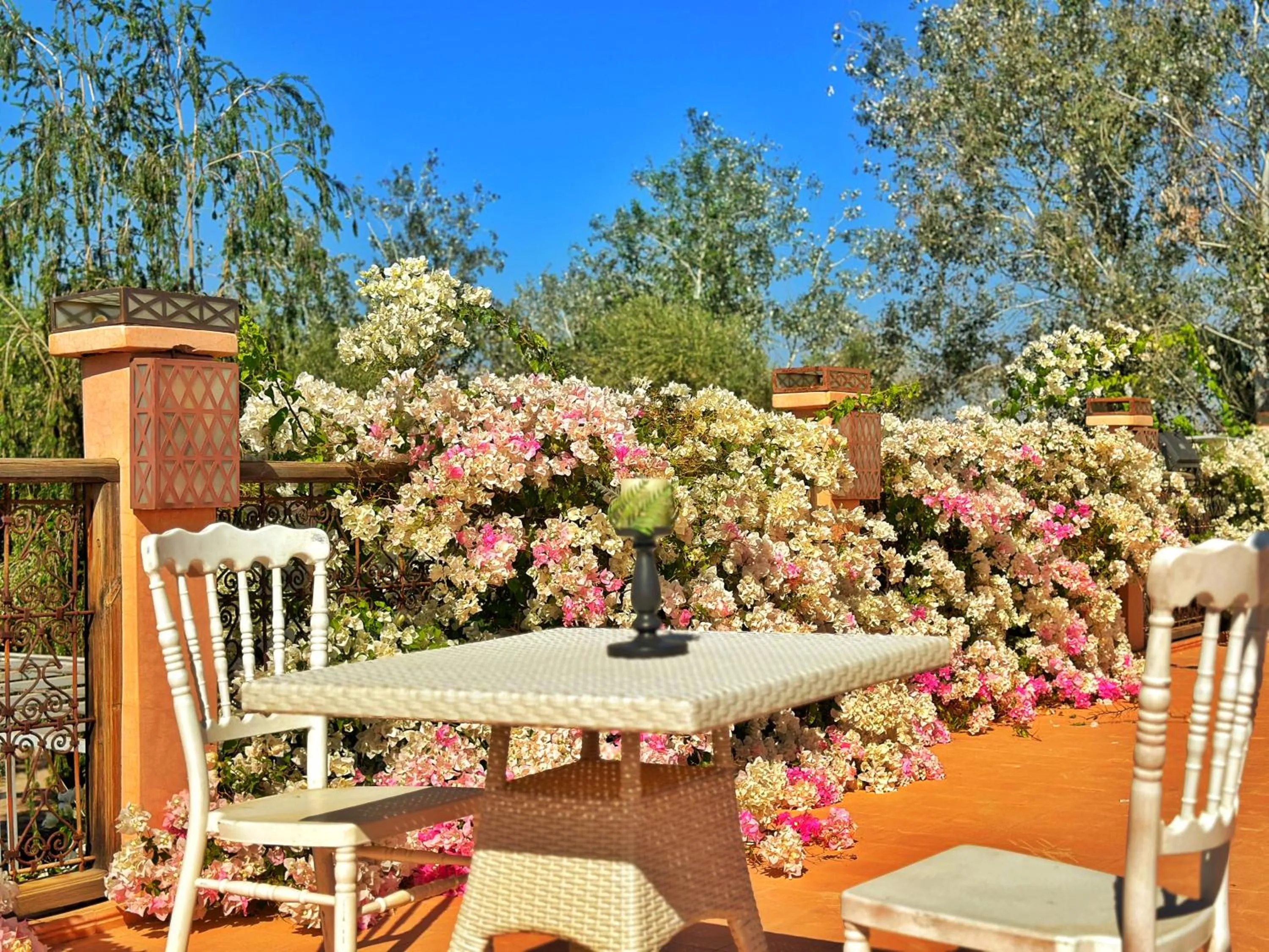 Balcony/Terrace in Riad salix d'agafay