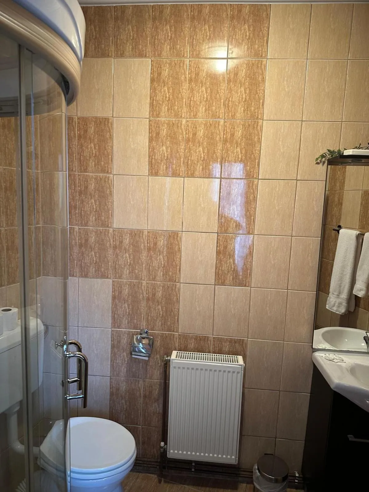 Bathroom in Hotel Rubin***