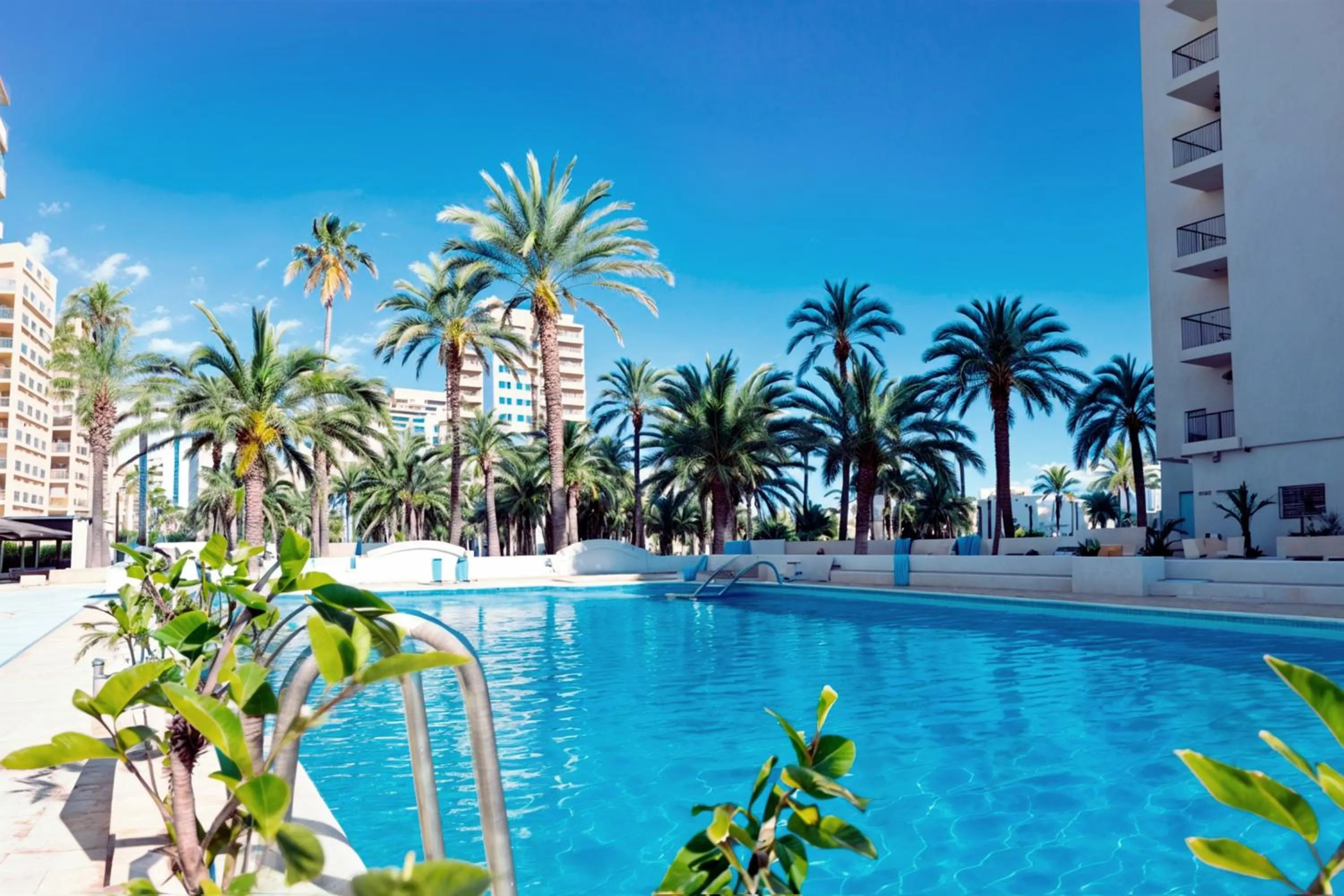Almar Collection Cullera AR