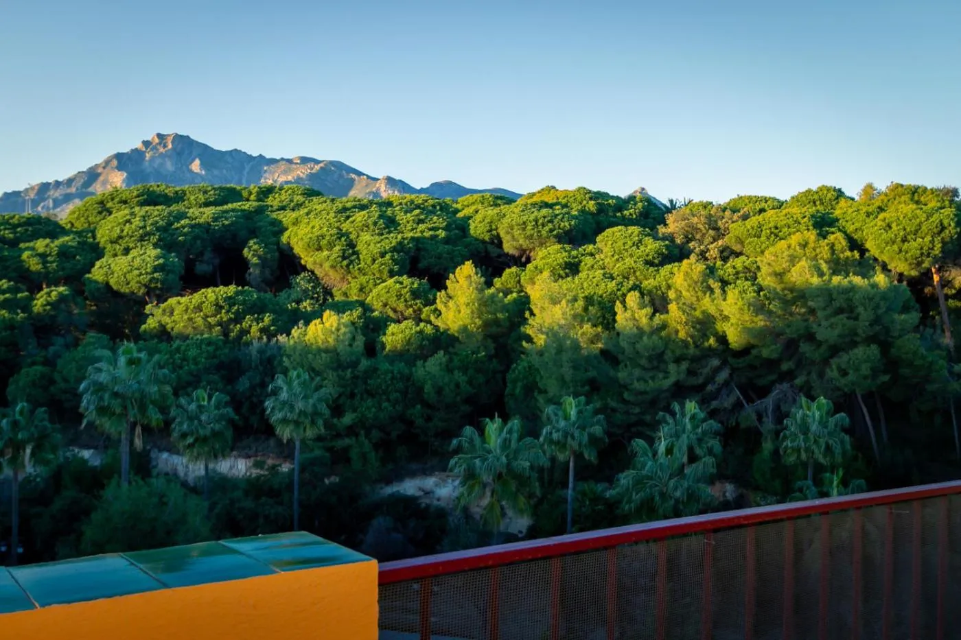 Day in MARBELLA BANUS SUITES - Marbella Centre Soriano 56 Suite Apartment