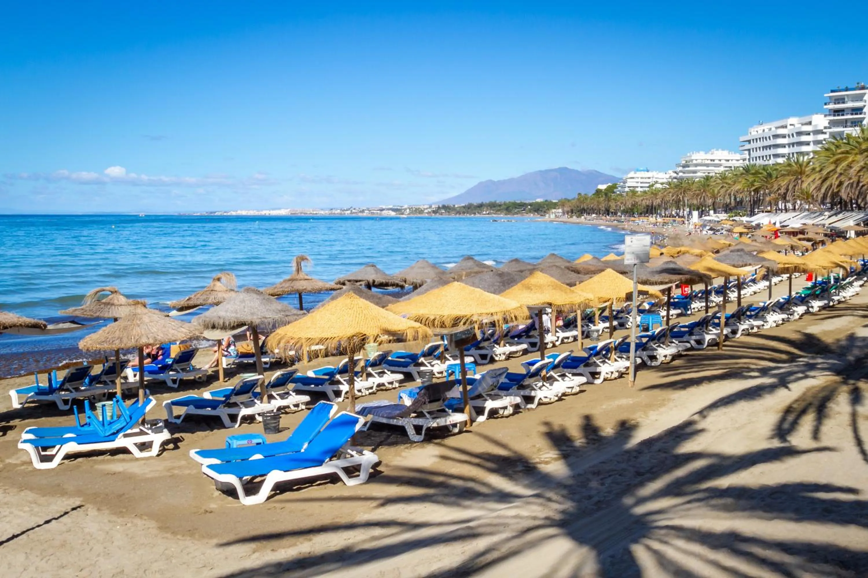 Day in MARBELLA BANUS SUITES - Marbella Centre Soriano 56 Suite Apartment