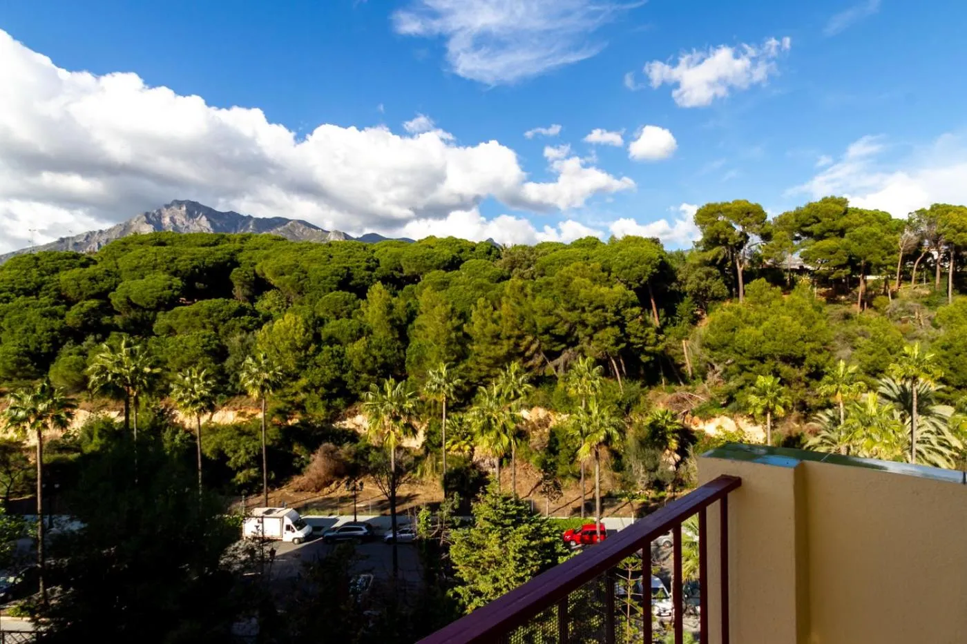Day in MARBELLA BANUS SUITES - Marbella Centre Soriano 56 Suite Apartment