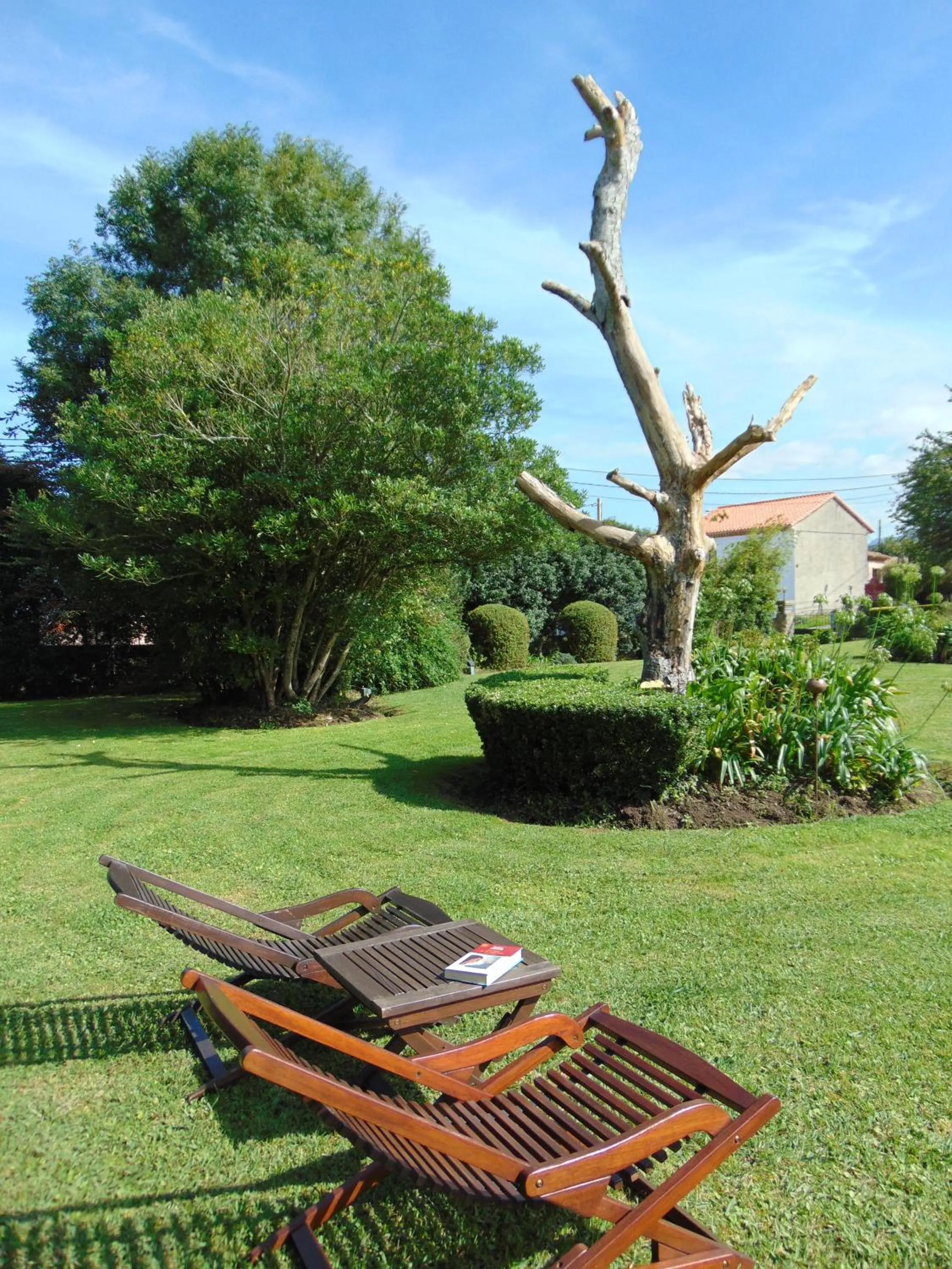 Garden in Quinta de Villanueva