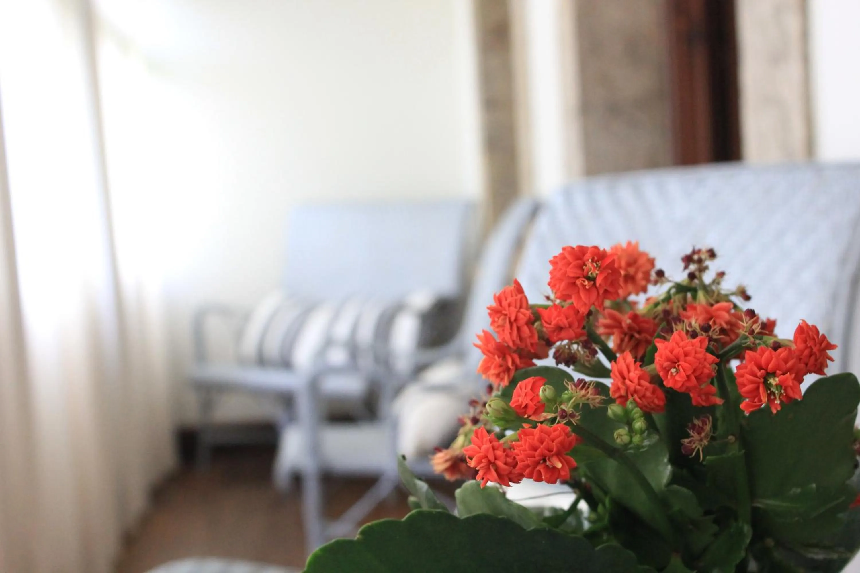 Quinta de Villanueva