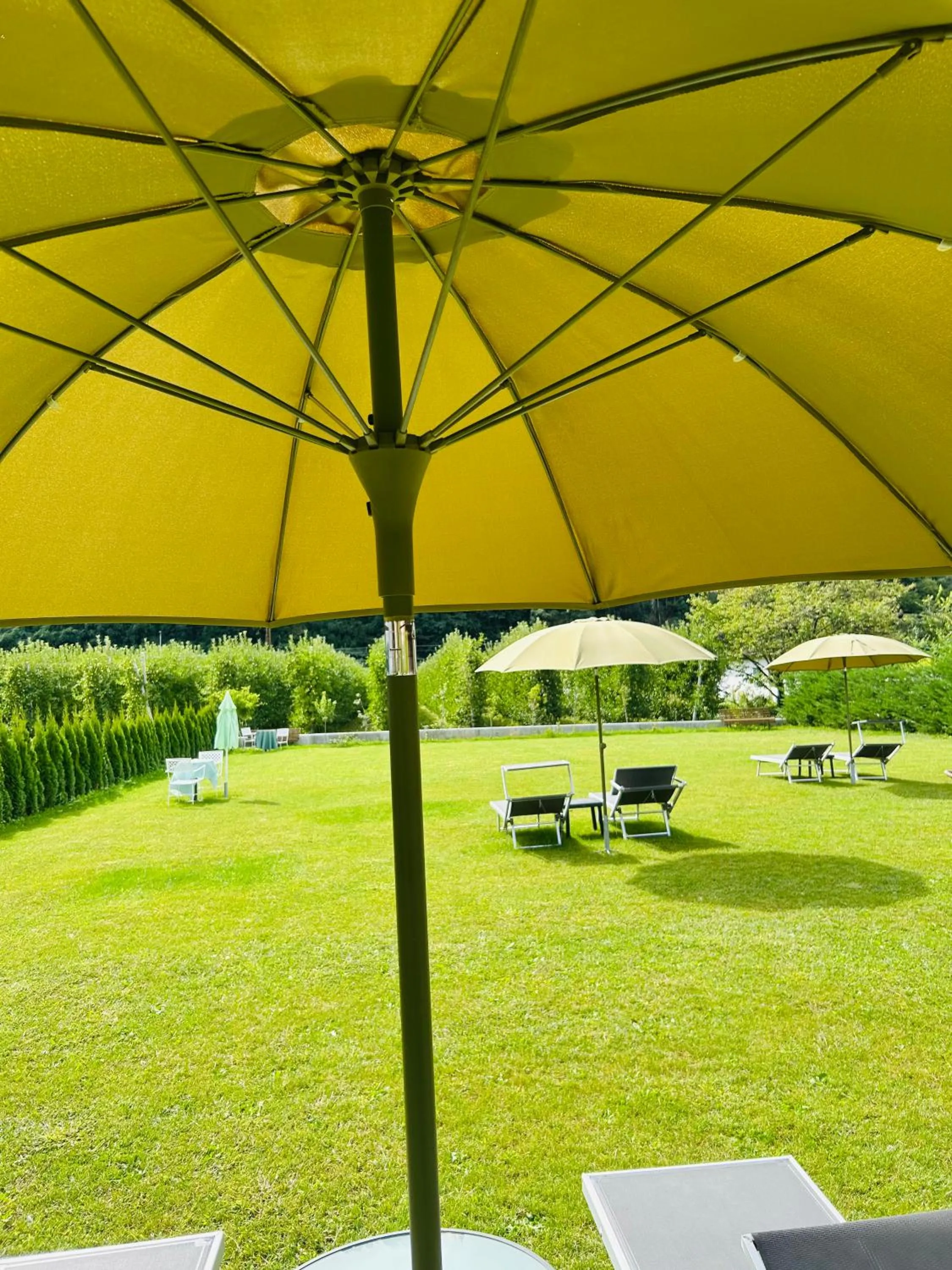 Garden view in Rosalie Apartments