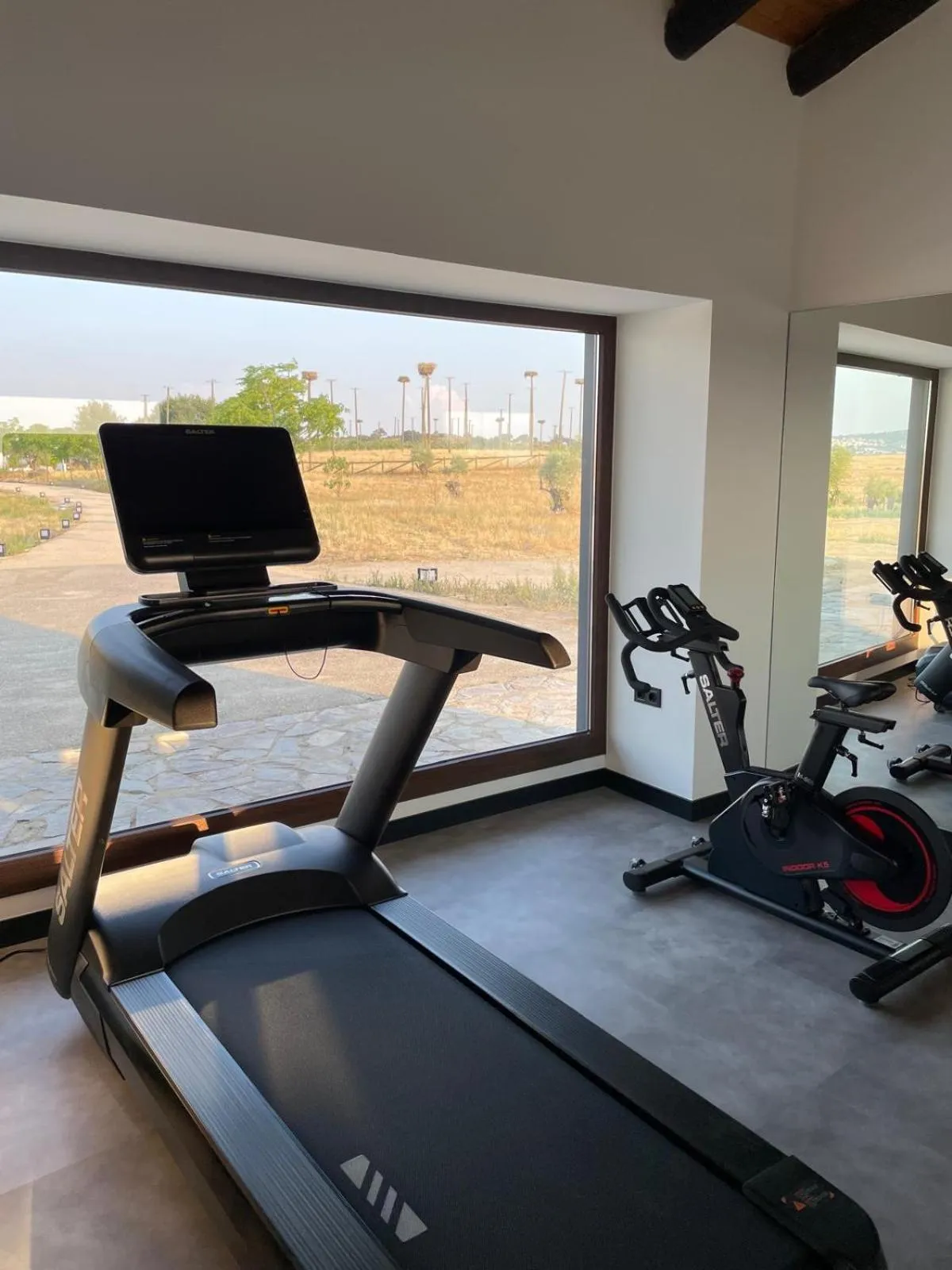 Fitness centre/facilities in Hospes Palacio de Arenales & Spa