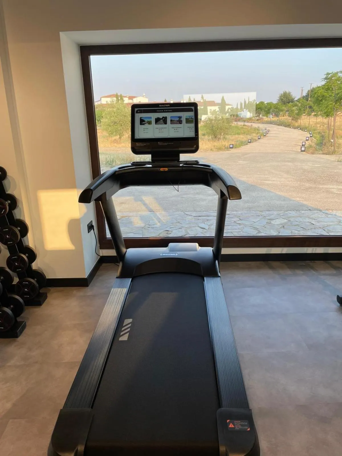 Fitness centre/facilities in Hospes Palacio de Arenales & Spa