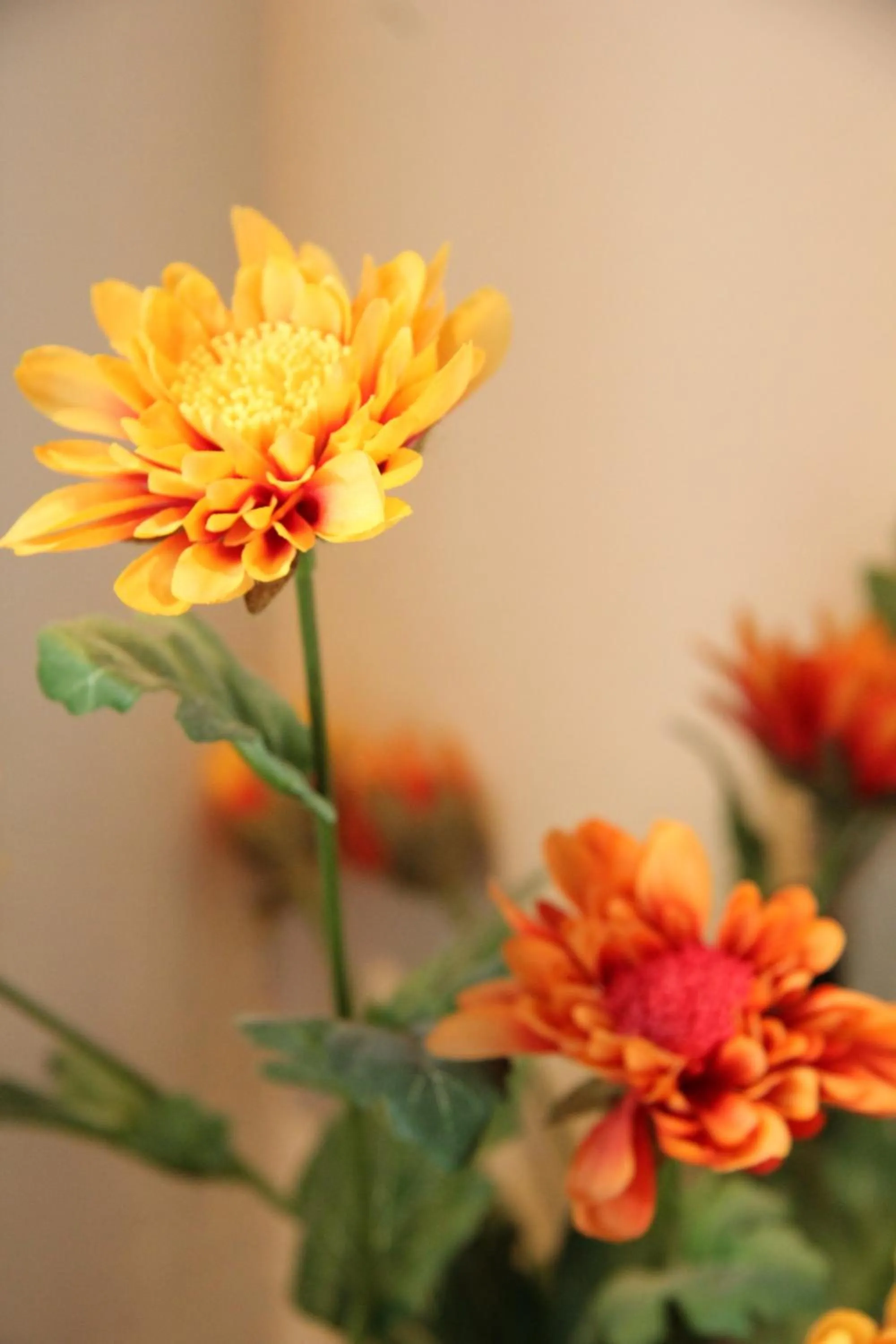 Decorative detail in Maria's Place - Adults Only