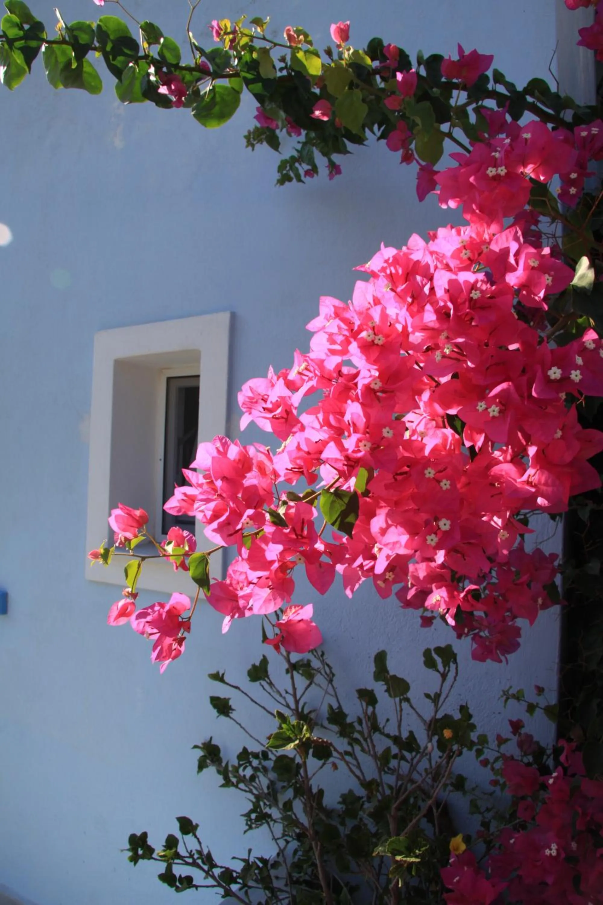 Natural landscape in Maria's Place - Adults Only