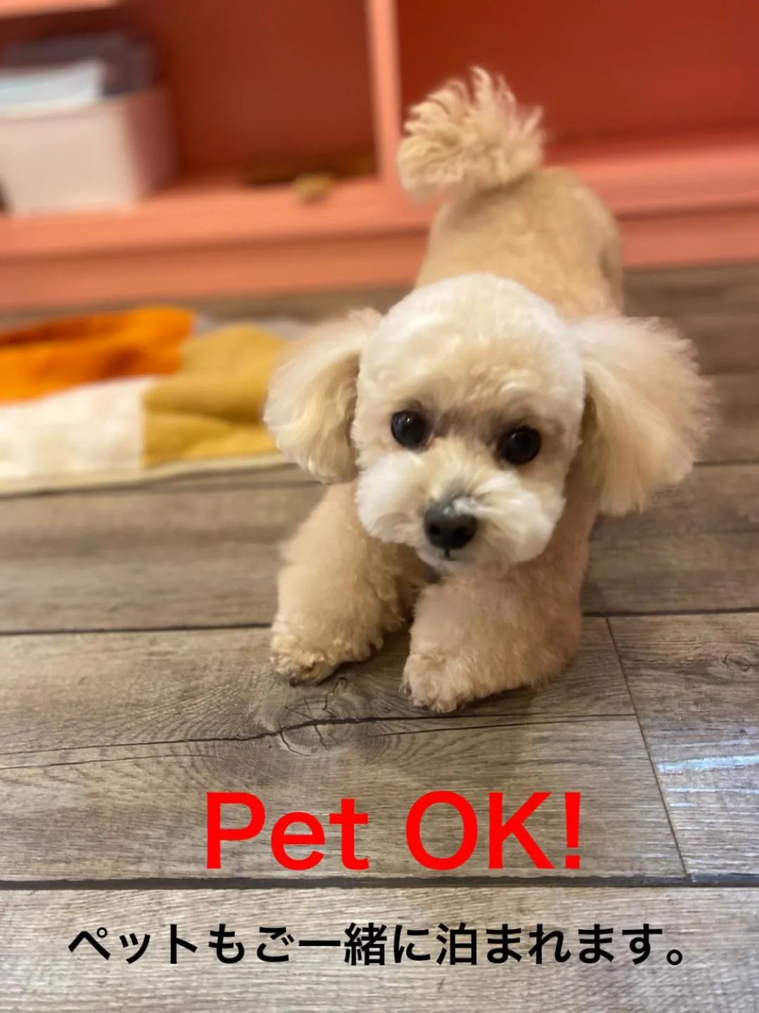 VILLENT KUJUKURI MARINE