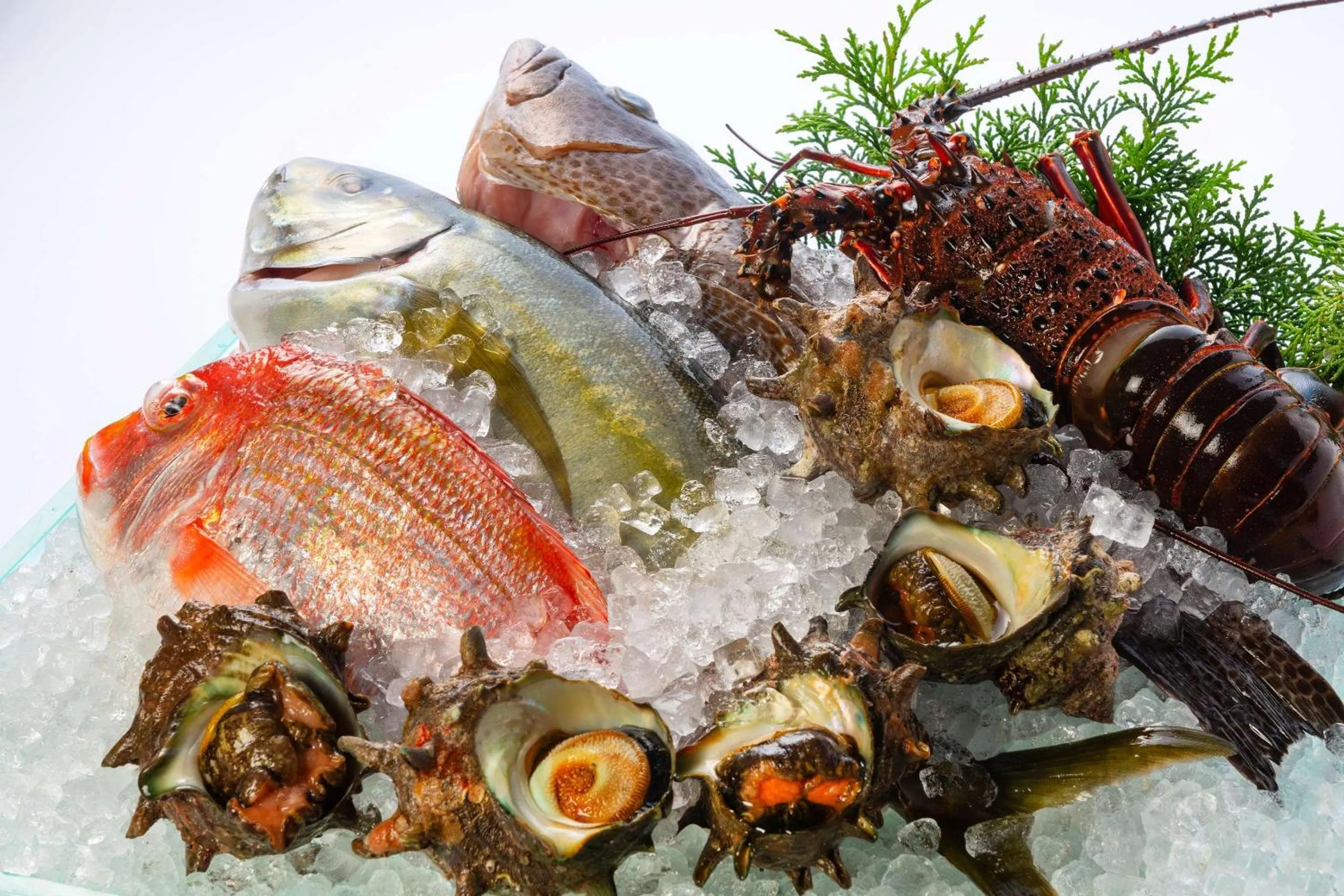 Restaurant/places to eat in OliveBay Hotel