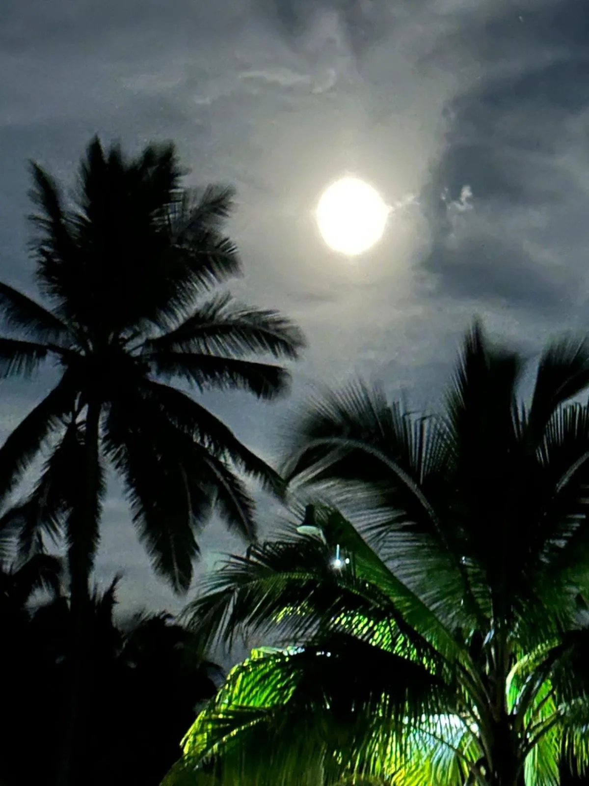 Beach in La Morada, una ventana al golfo - Hotel boutique