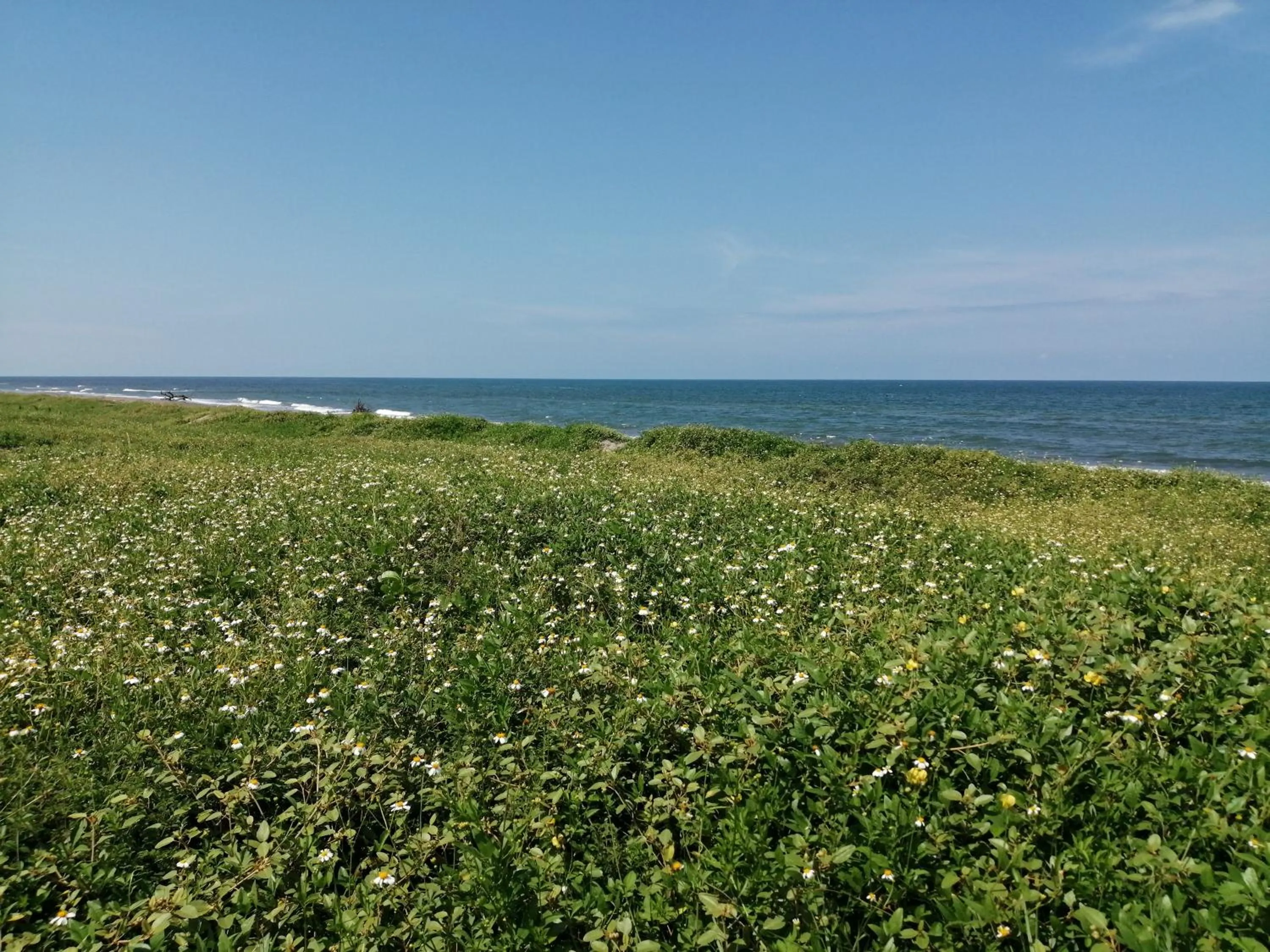 Beach in La Morada, una ventana al golfo - Hotel boutique