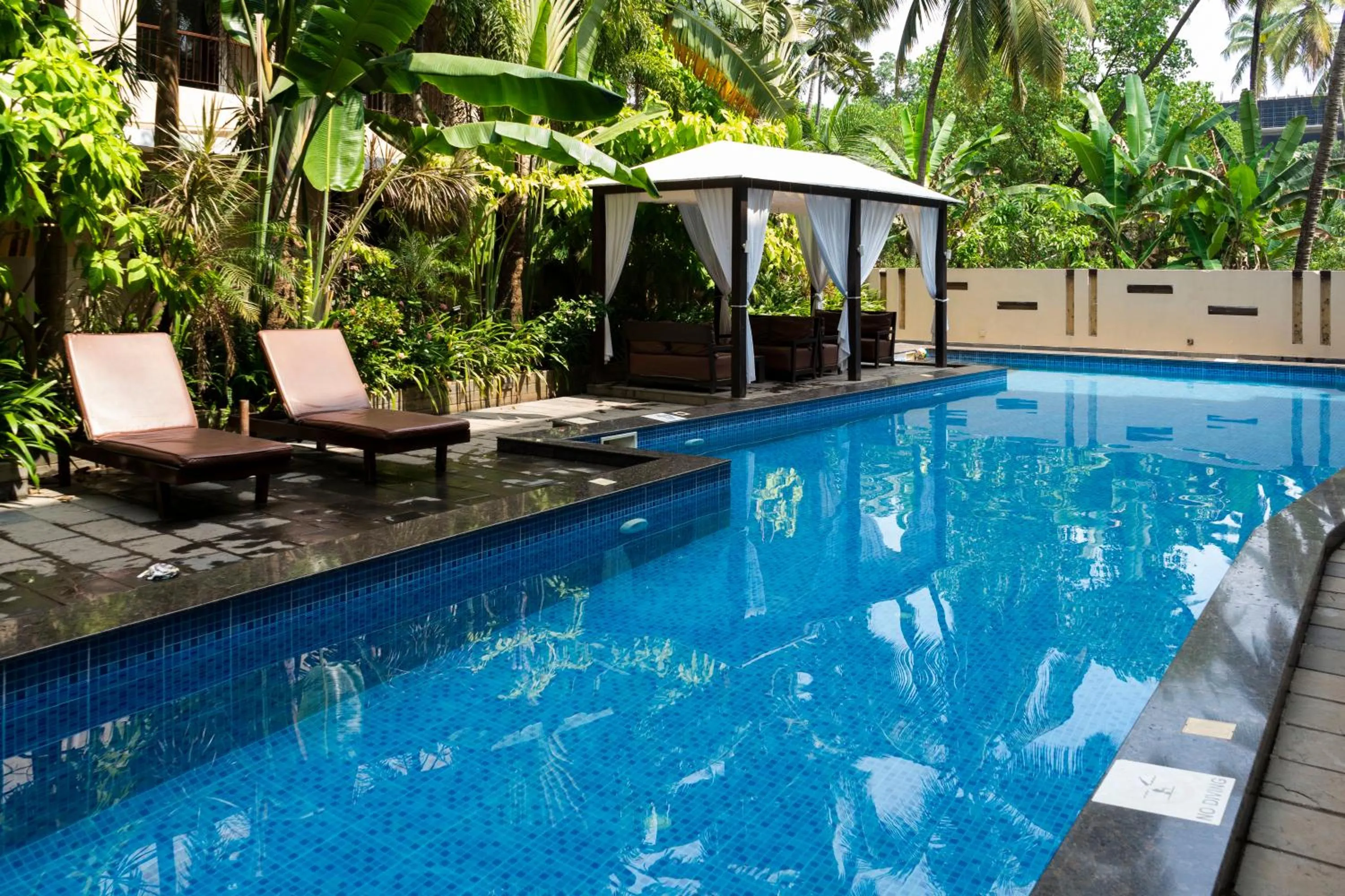 Swimming pool in Sia Signature Calangute