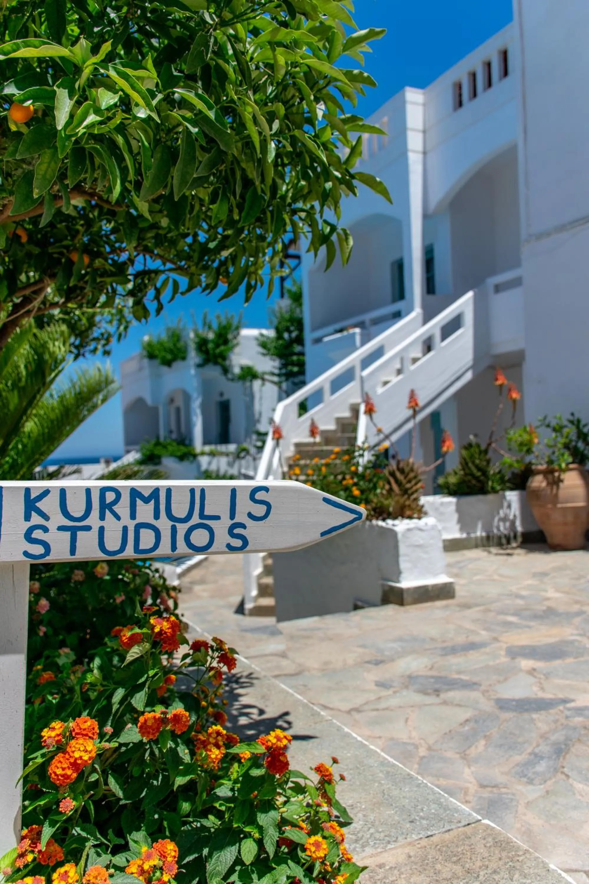 Property building in Kurmulis Studios