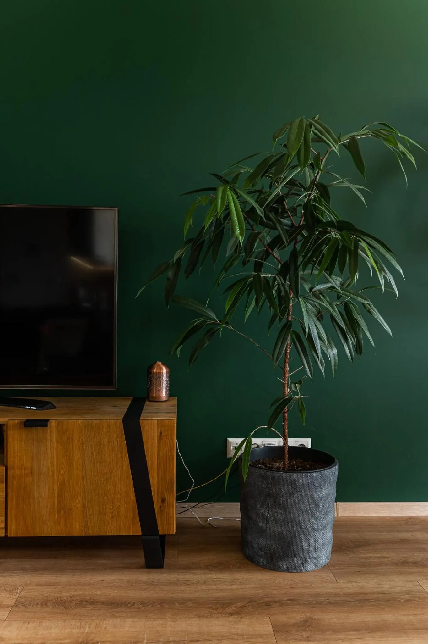 TV and multimedia in New Spacious Apartment with City View