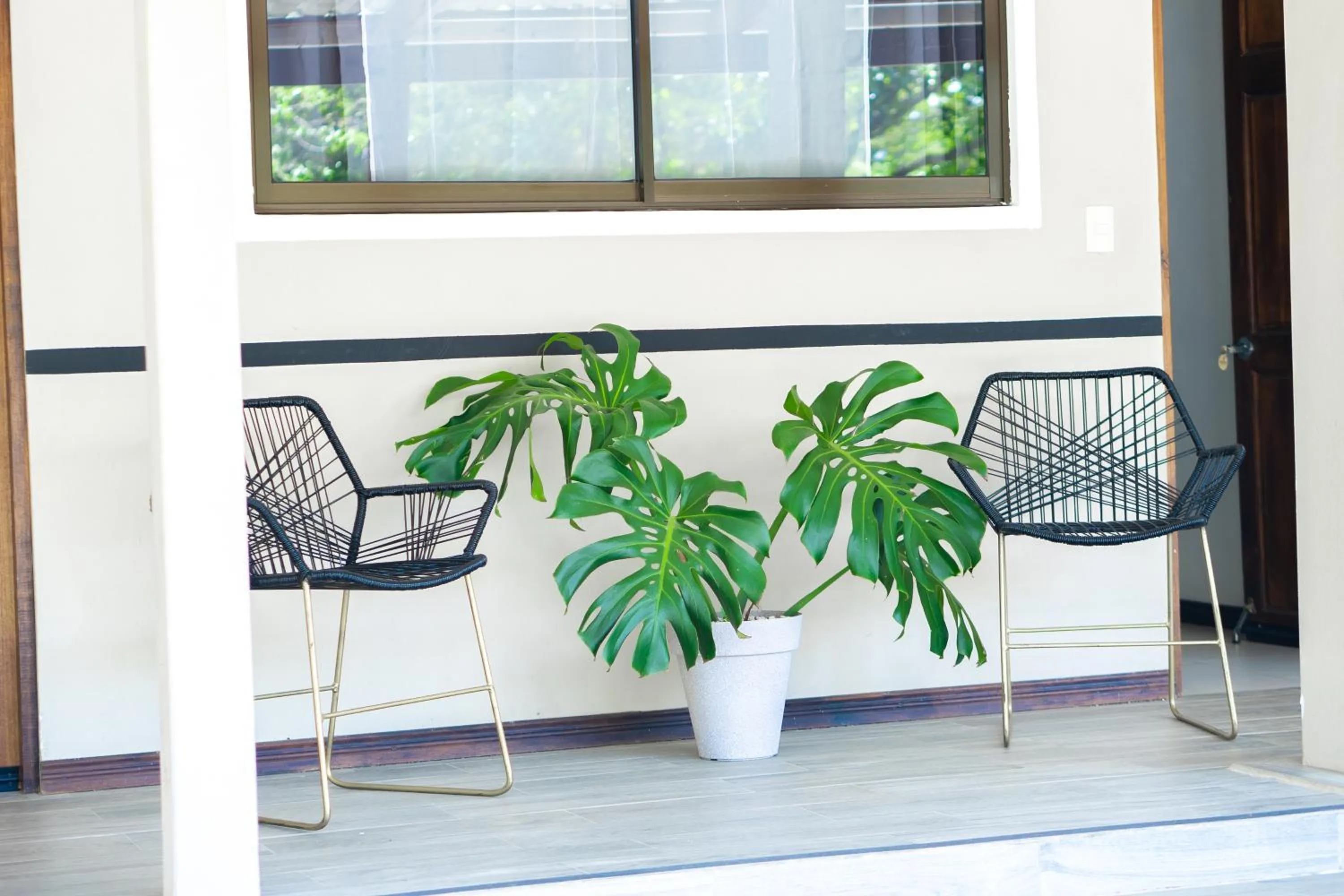 Area and facilities in Natüra Hotel Monteverde