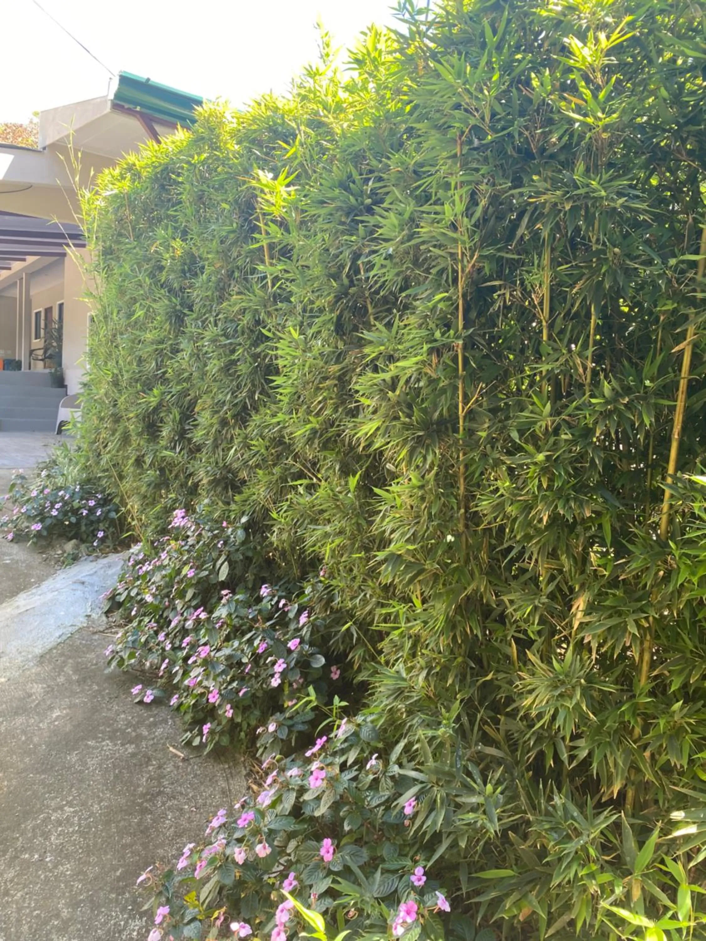 Garden view in Natüra Hotel Monteverde