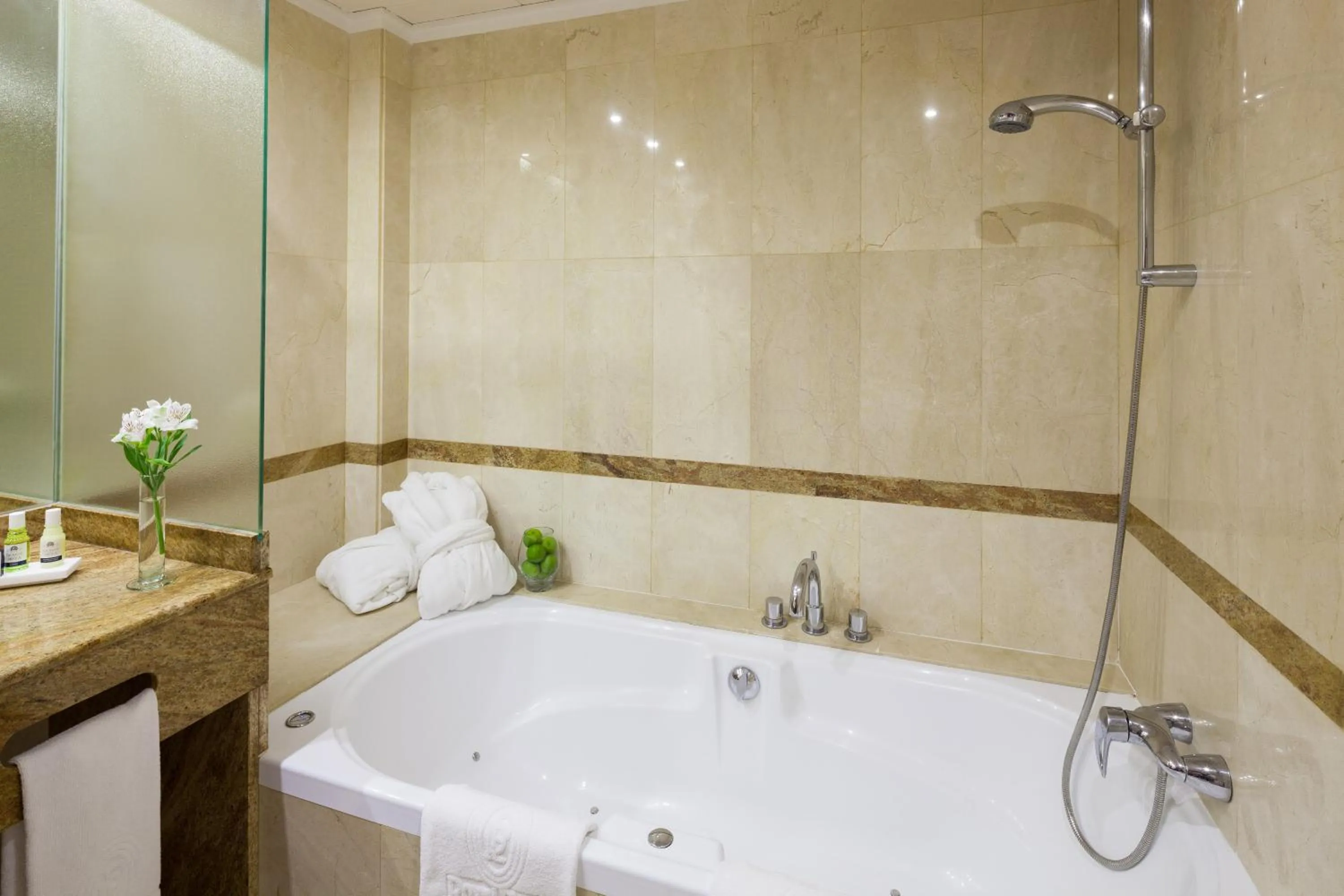 Shower in Hotel Royal Plaza