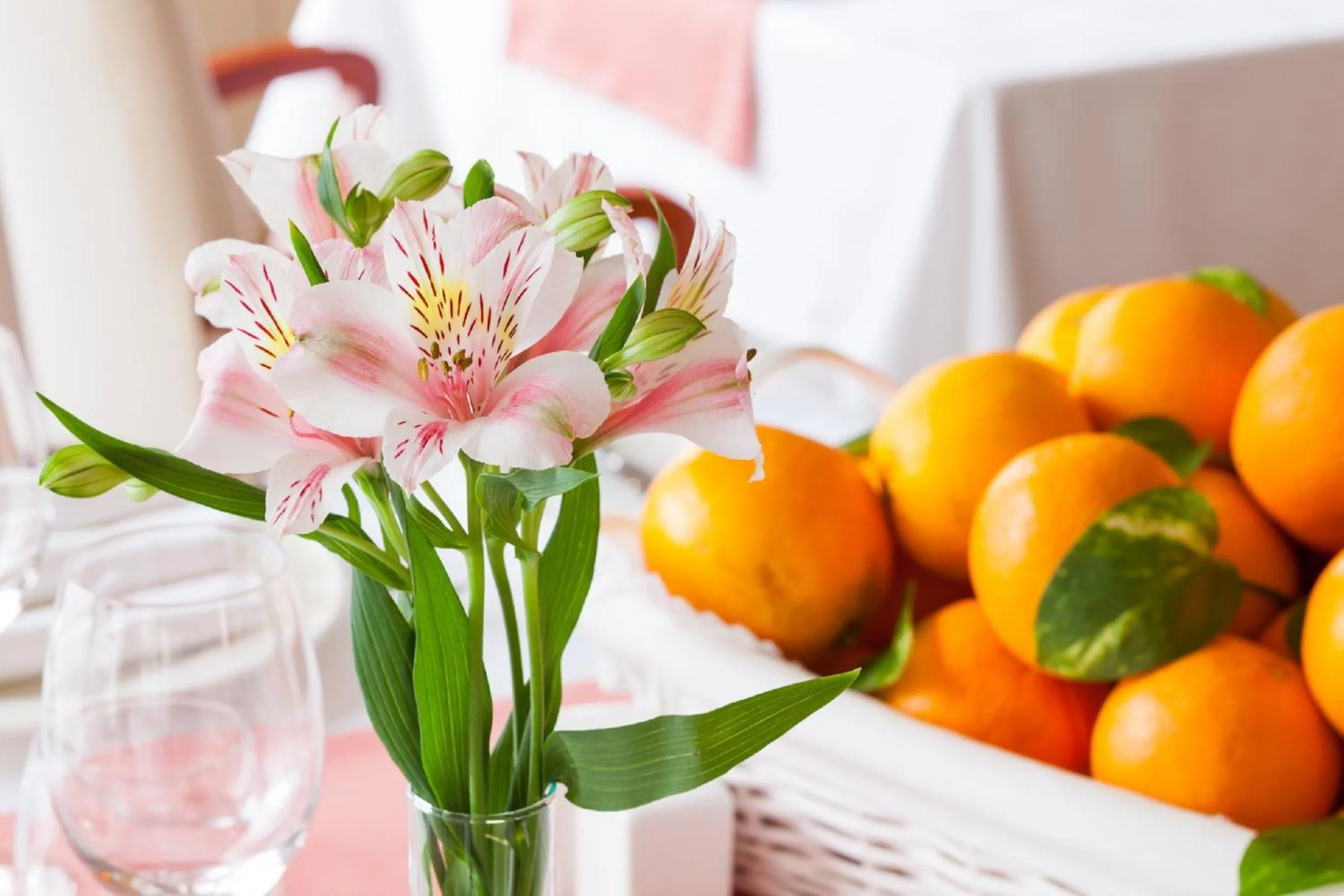 Patio in Hotel Royal Plaza