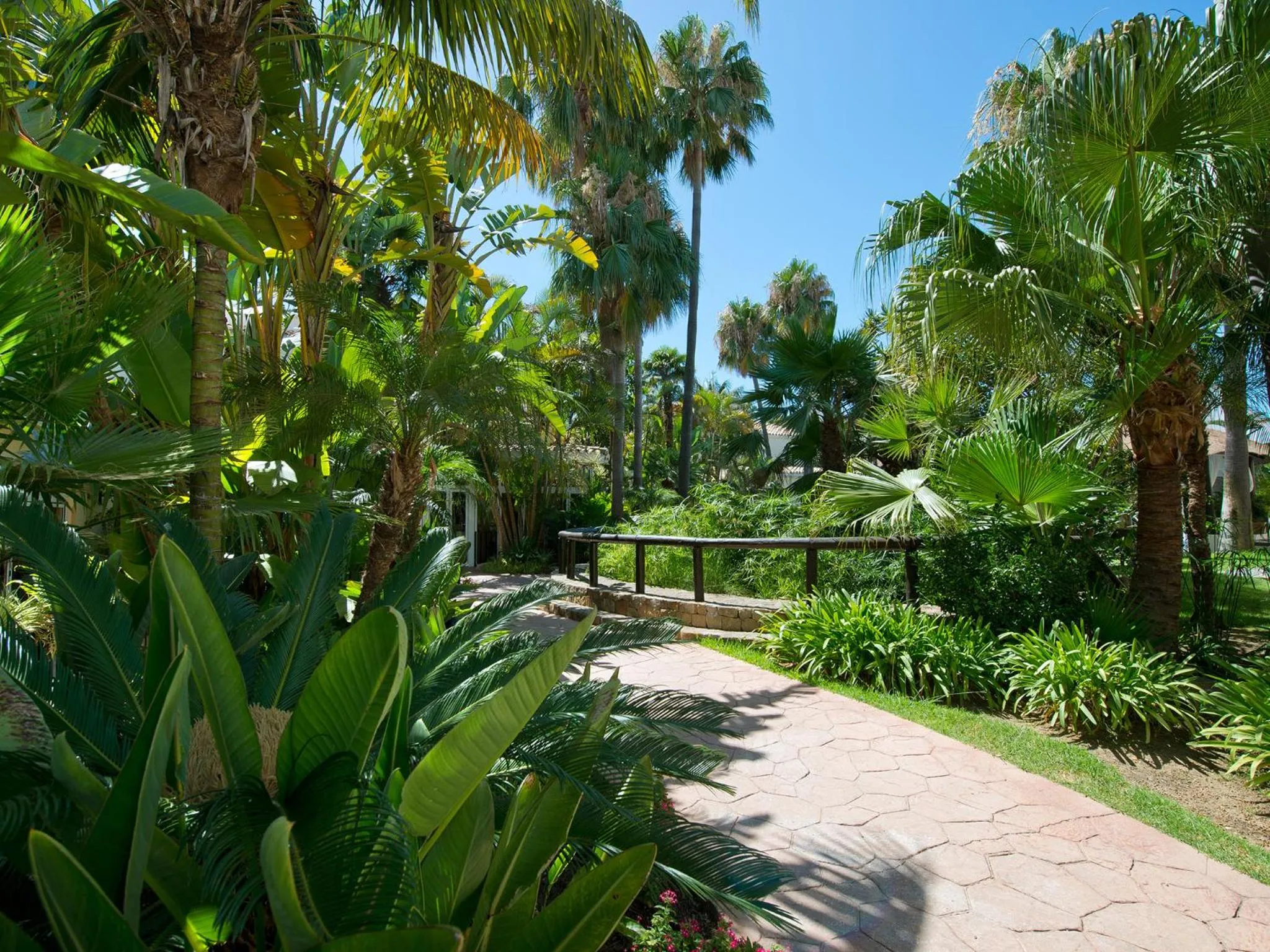 Garden in BlueBay Banús