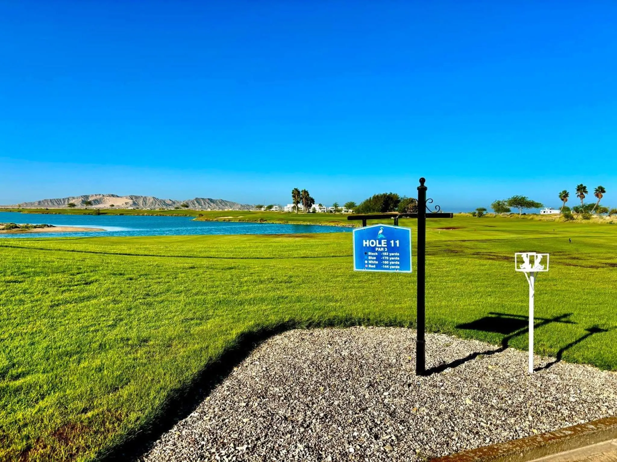 Golfcourse in Sonoran Sea Resort BEACHFRONT Condo E203