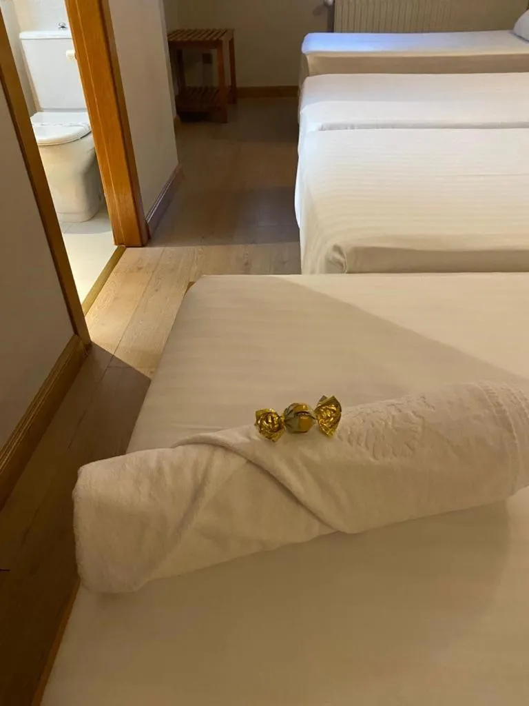 Photo of the whole room, Bed in Hotel Carbayon