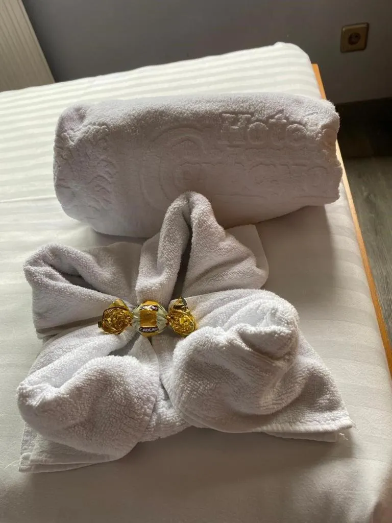 towels, Bed in Hotel Carbayon