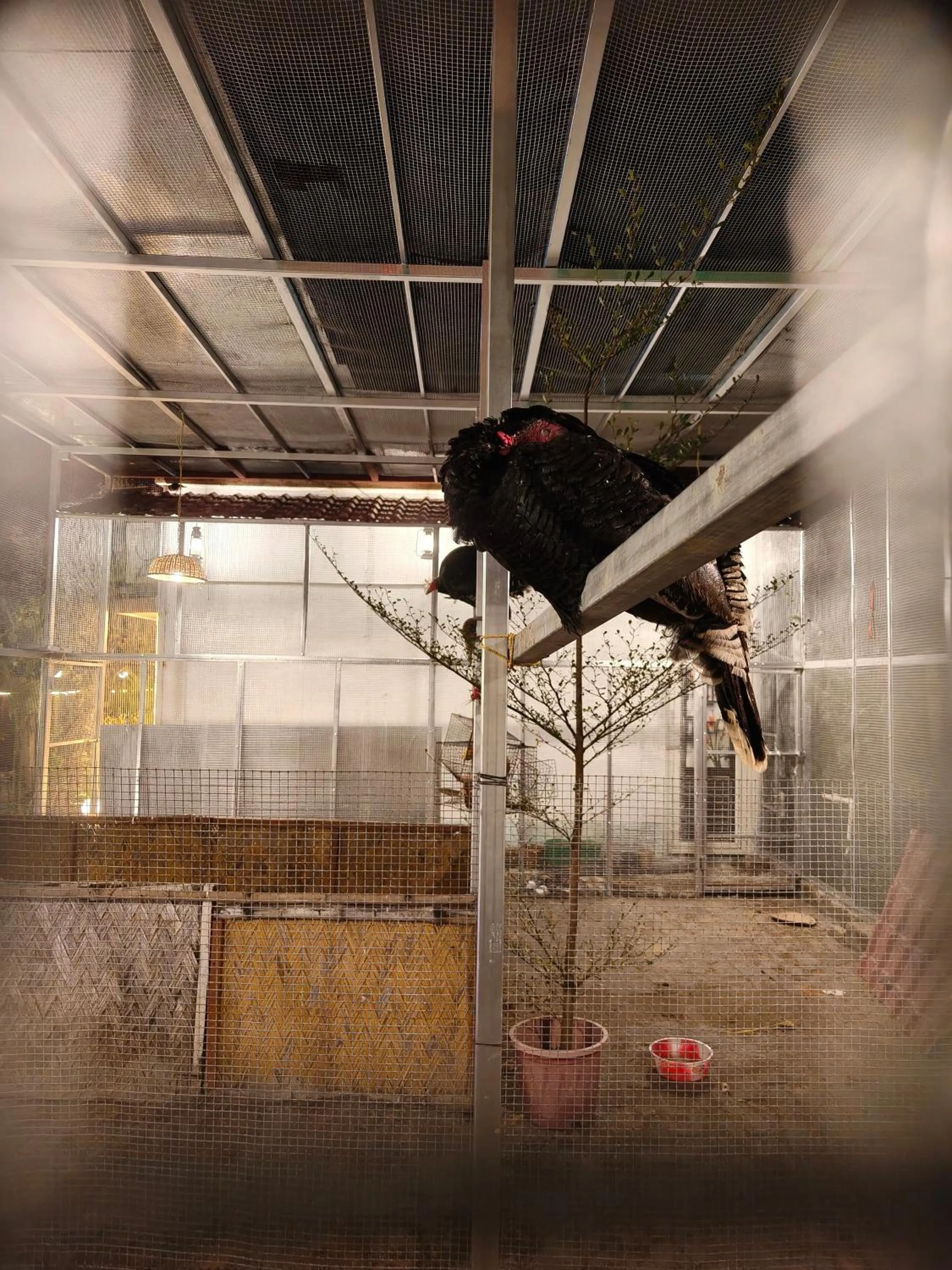 Natural landscape in Tapama Resort Bakkhali