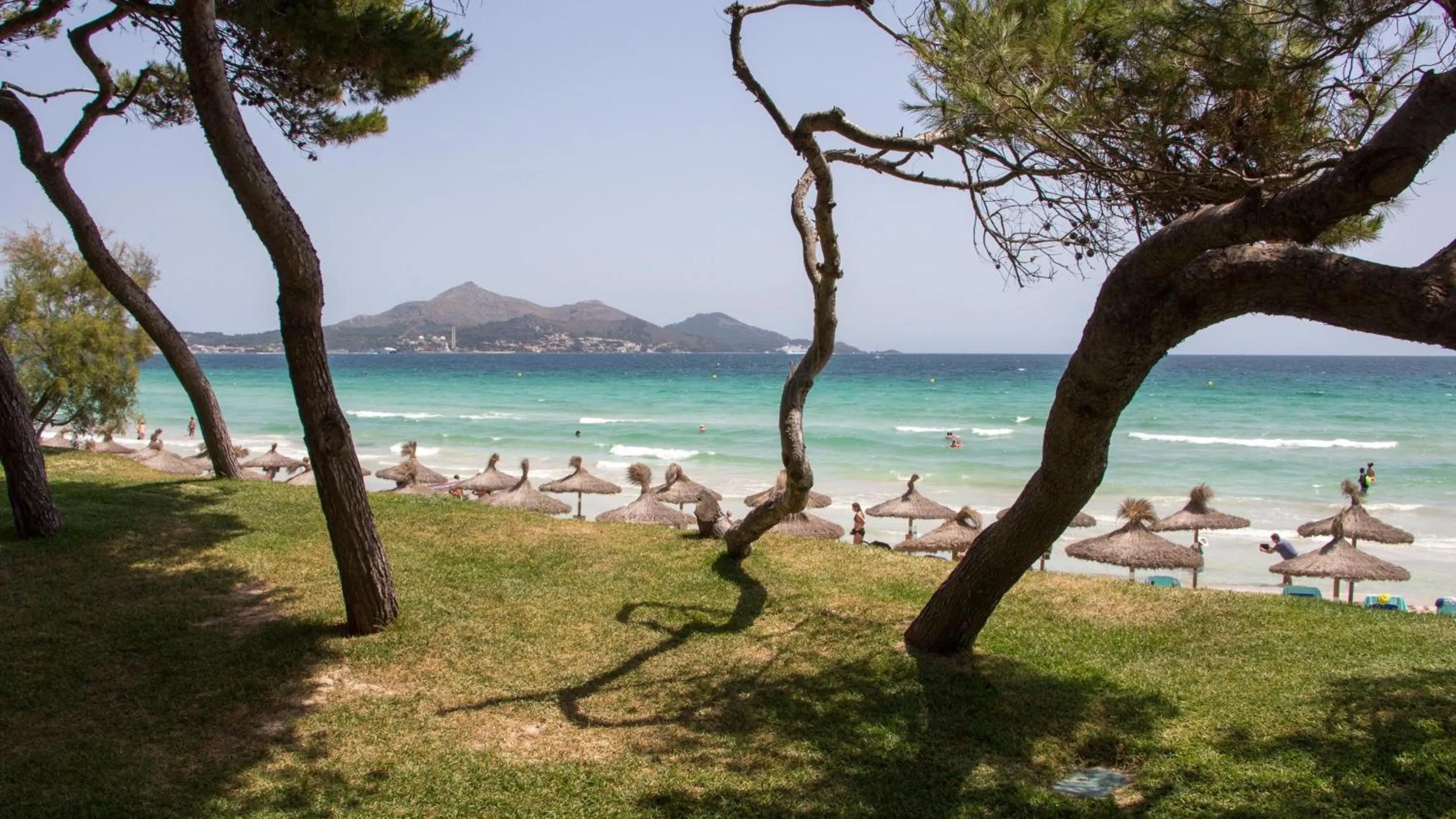 Beach in Mar Hotels Playa de Muro Suites