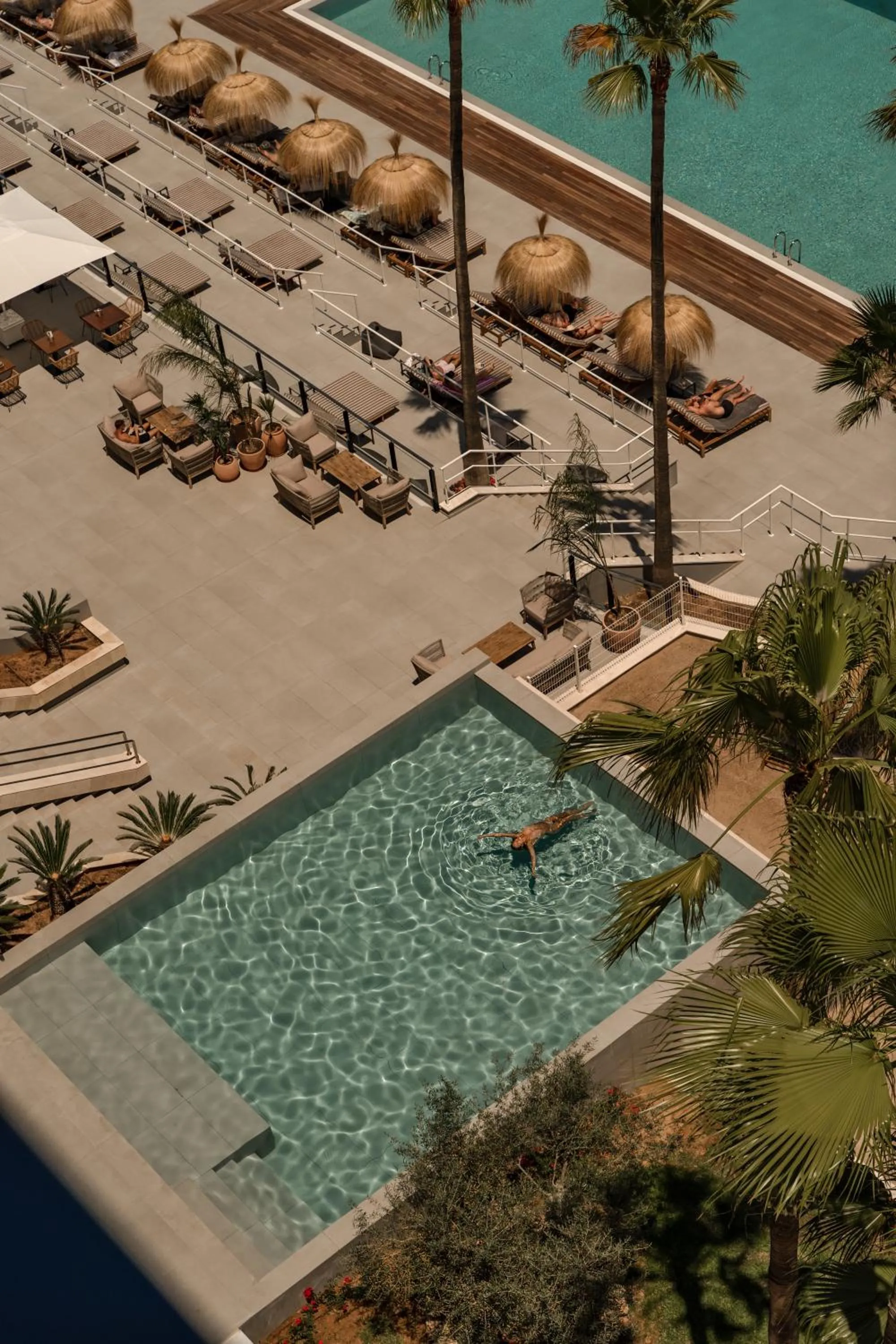 Area and facilities in Cooks Club Calvia Beach - Adults Only