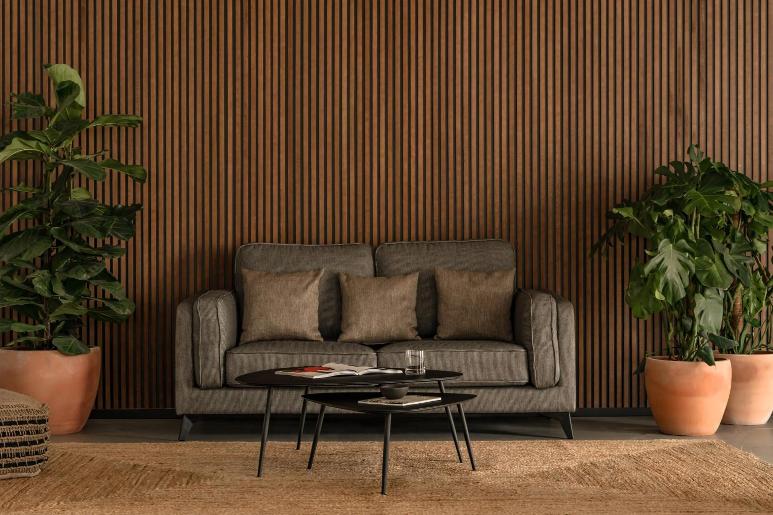 Area and facilities in Cooks Club Calvia Beach - Adults Only