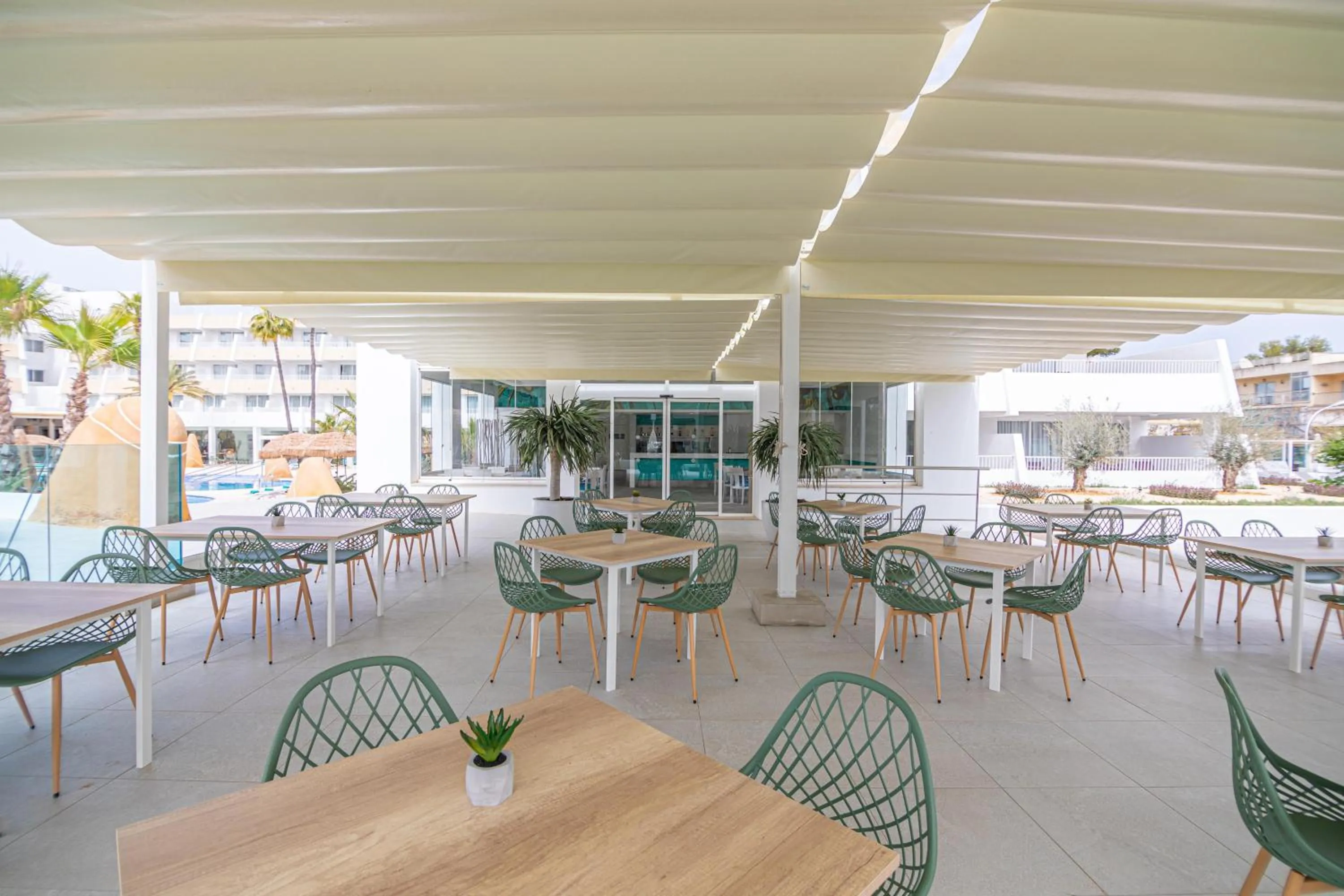 Restaurant/places to eat in MarSenses Rosa del Mar Hotel & Spa