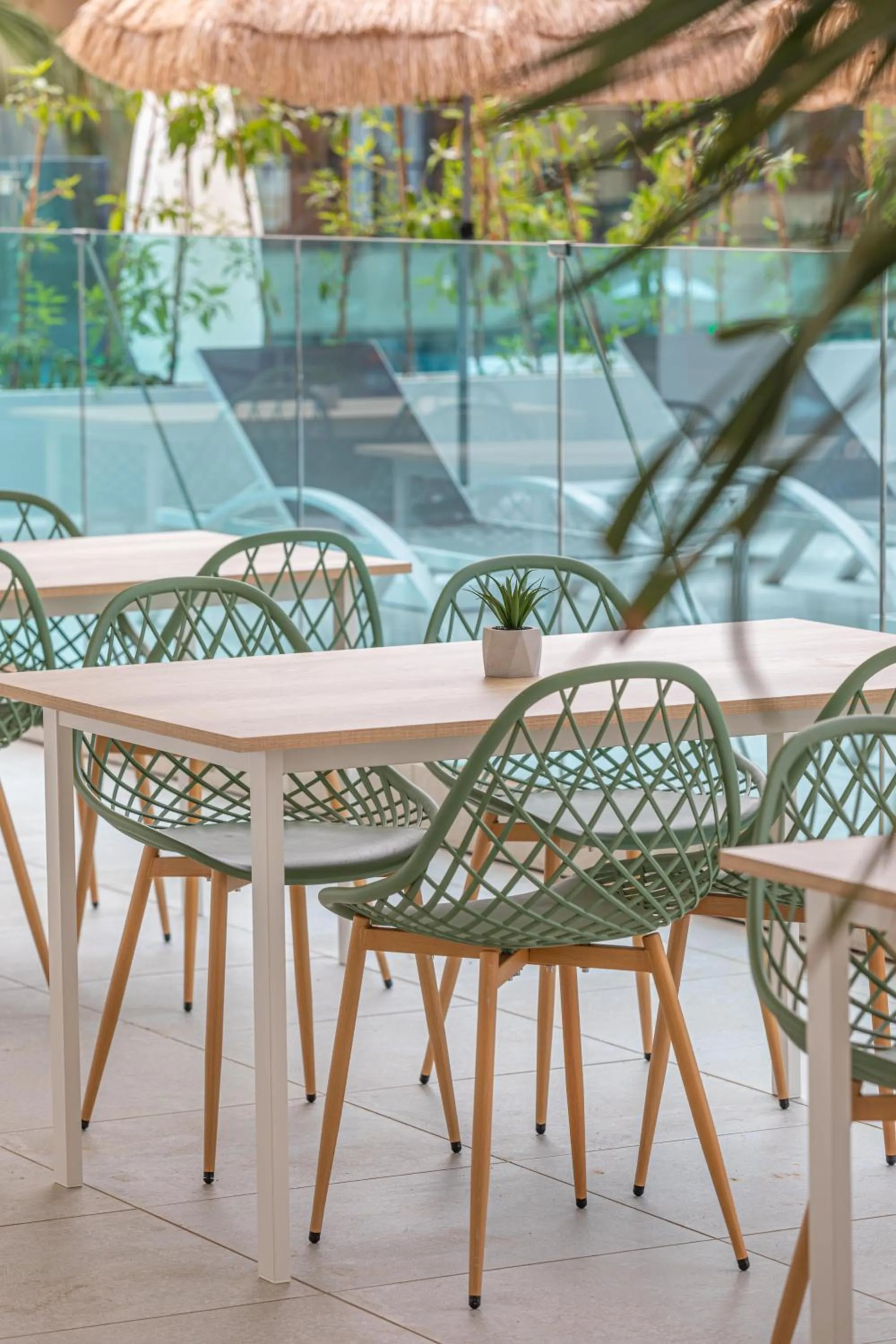 Restaurant/places to eat in MarSenses Rosa del Mar Hotel & Spa